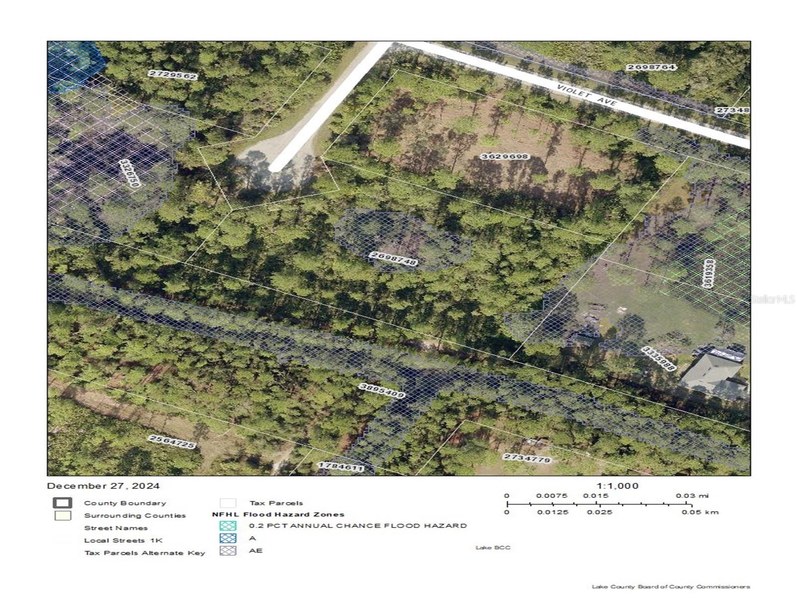TAMARAC ST, EUSTIS, FL, 32736