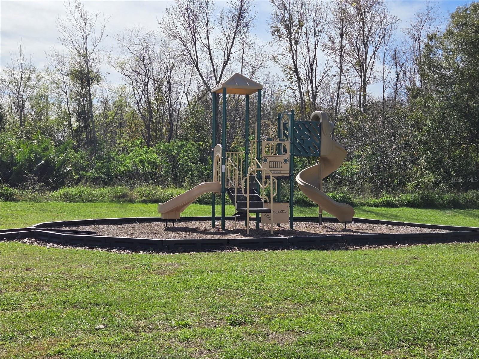 1261 YELLOW FINCH DR, DAVENPORT, FL, 33837