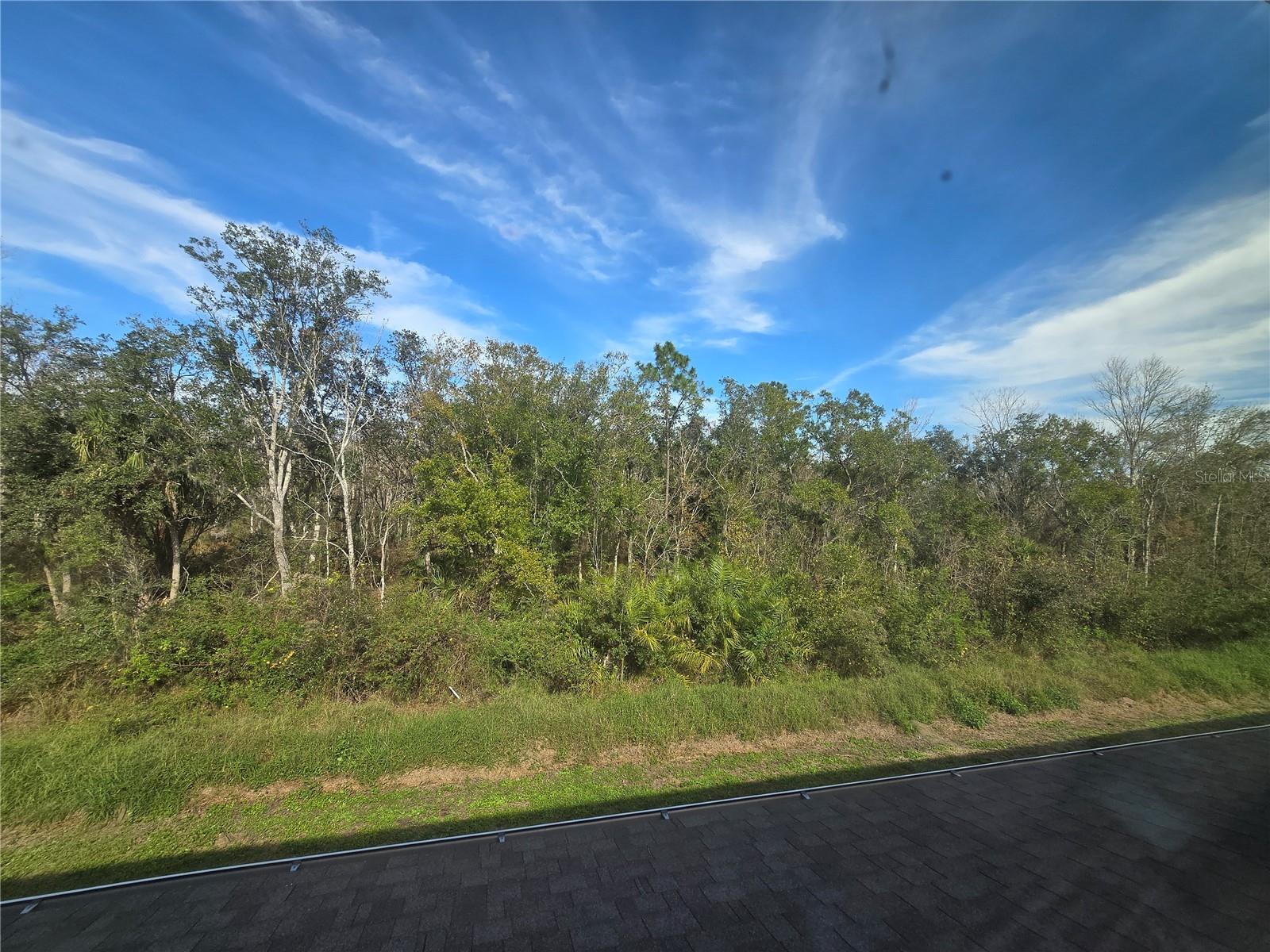 1261 YELLOW FINCH DR, DAVENPORT, FL, 33837