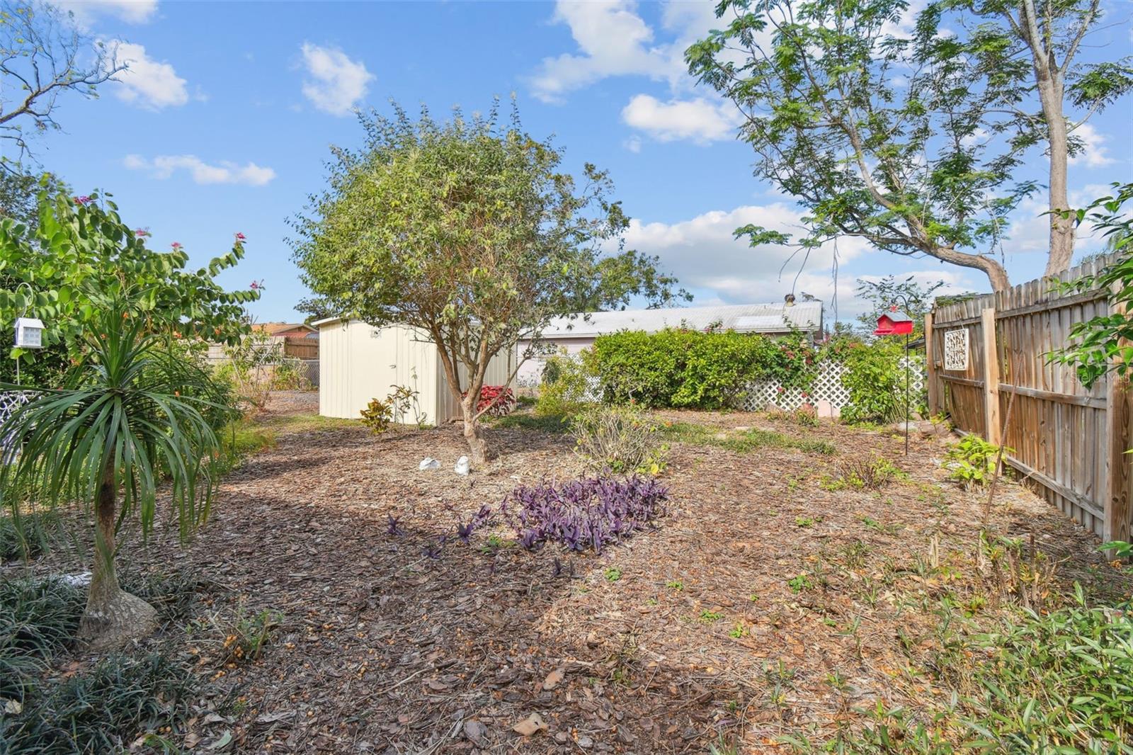 7318 FILBERT LN, TAMPA, FL, 33637
