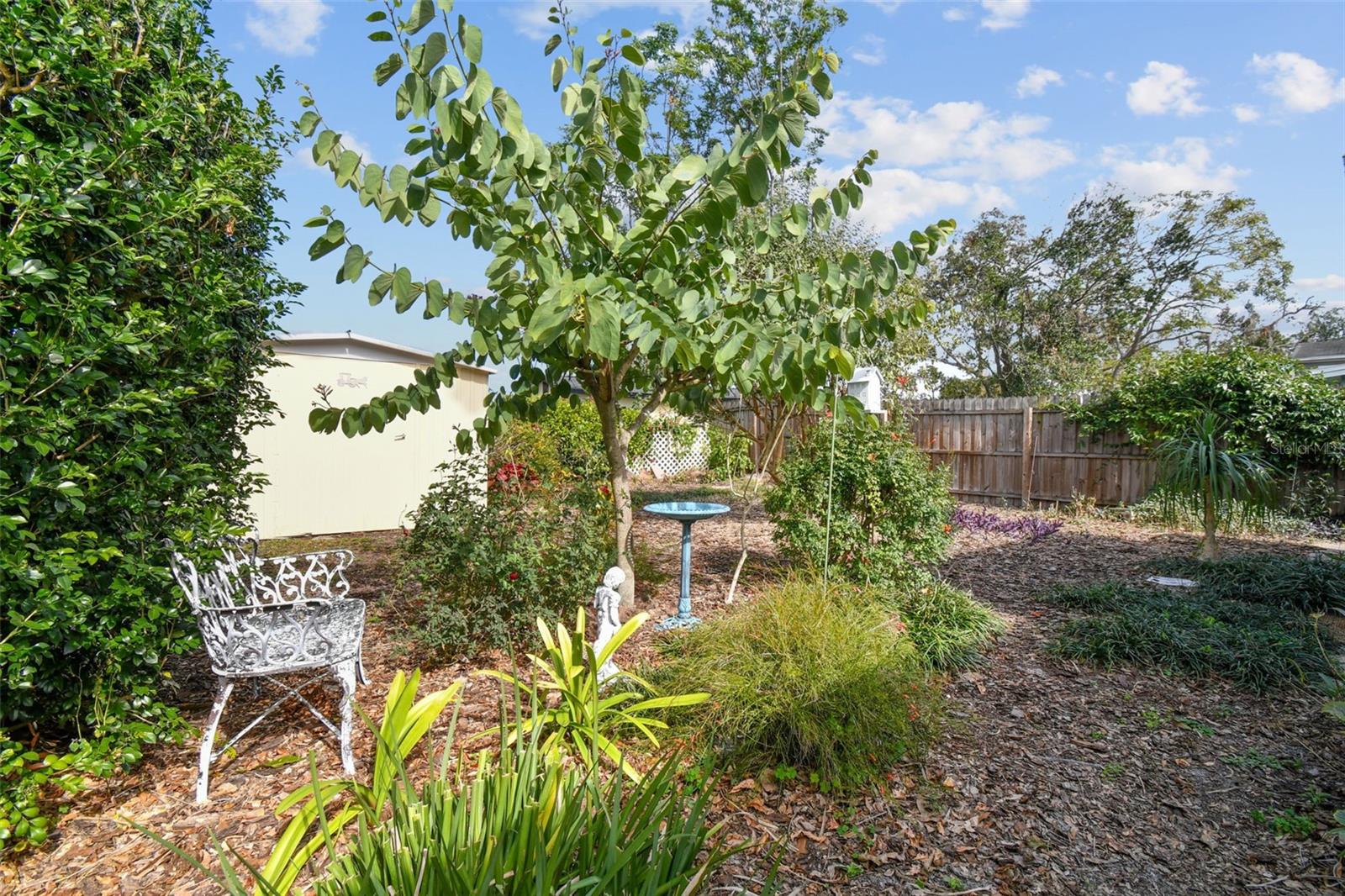 7318 FILBERT LN, TAMPA, FL, 33637