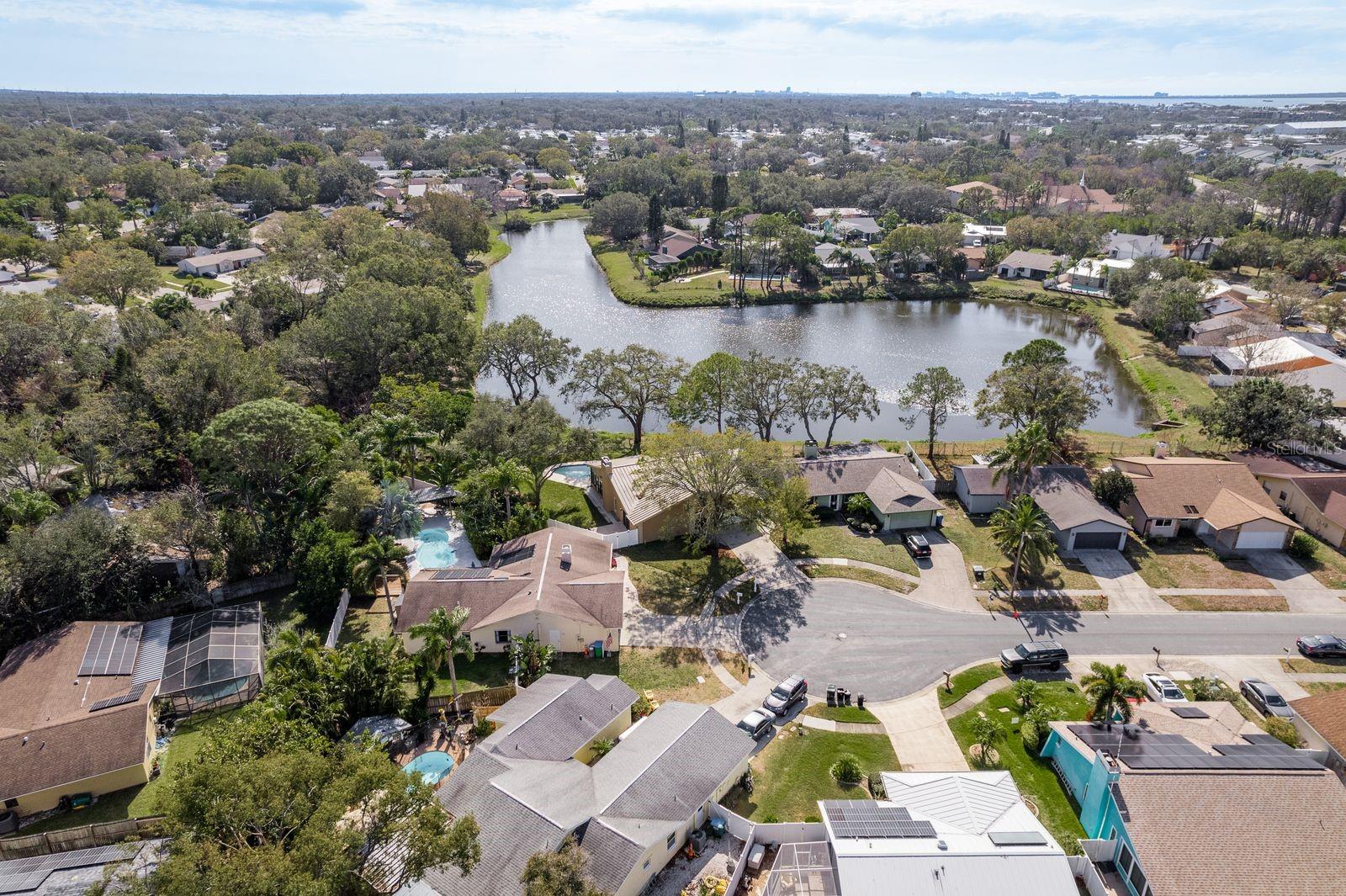 203 WHISPER LAKE RD, PALM HARBOR, FL, 34683