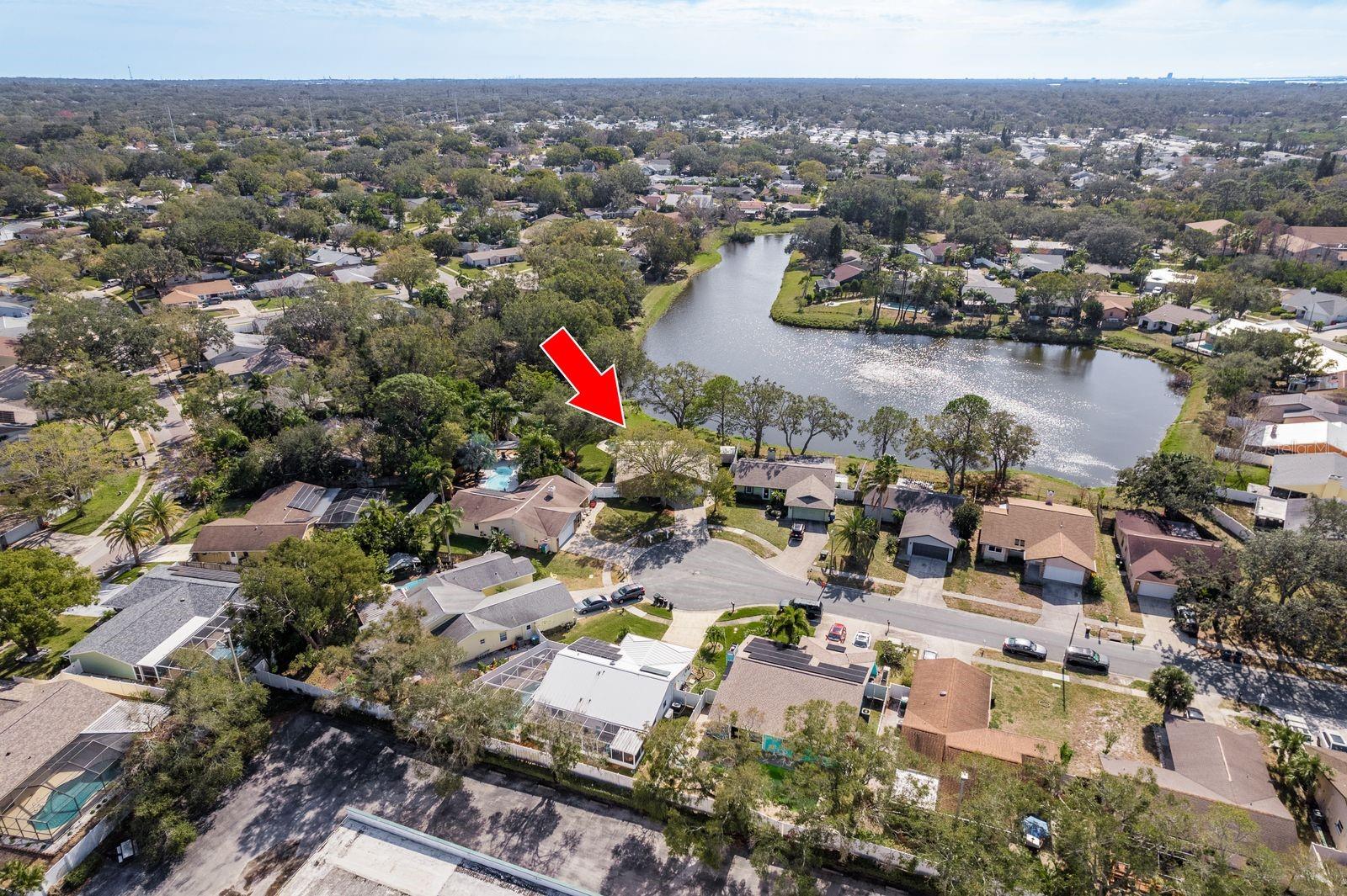 203 WHISPER LAKE RD, PALM HARBOR, FL, 34683
