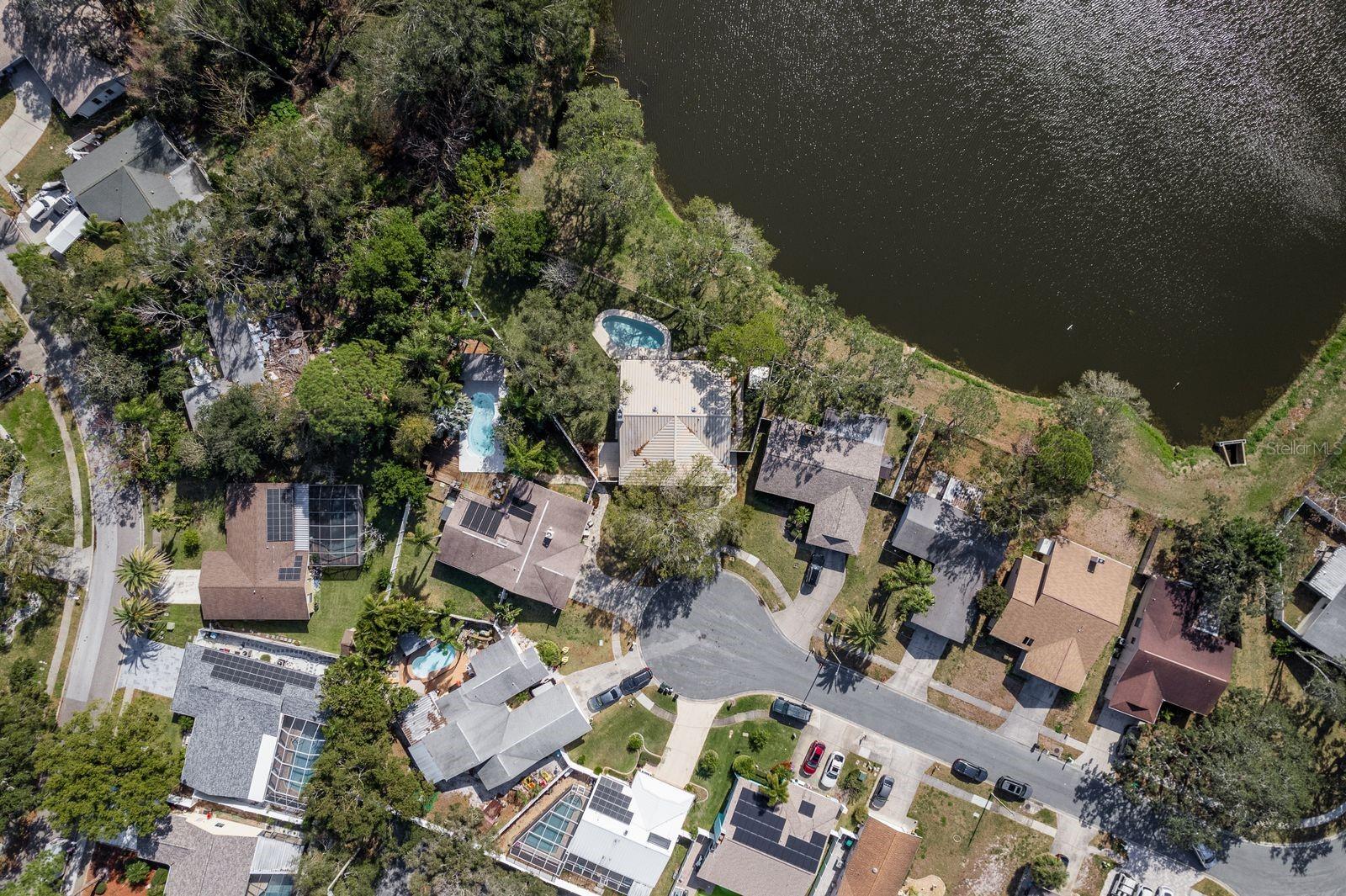 203 WHISPER LAKE RD, PALM HARBOR, FL, 34683