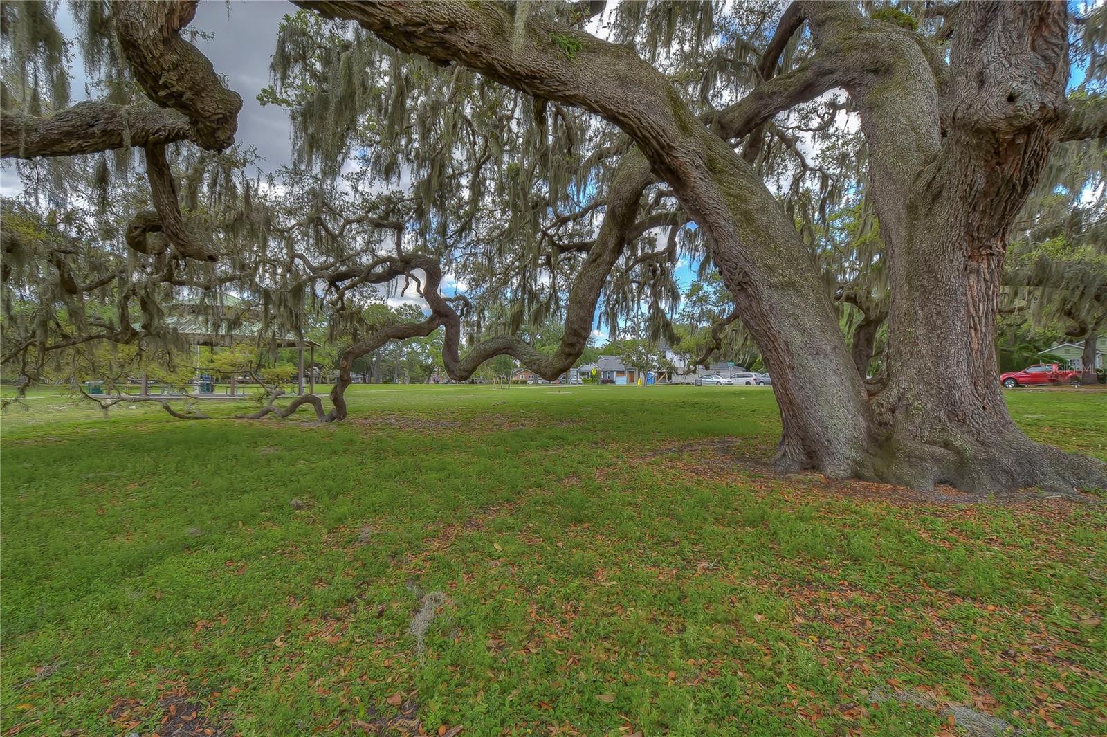 4701 N WILLIS ST, TAMPA, FL, 33603