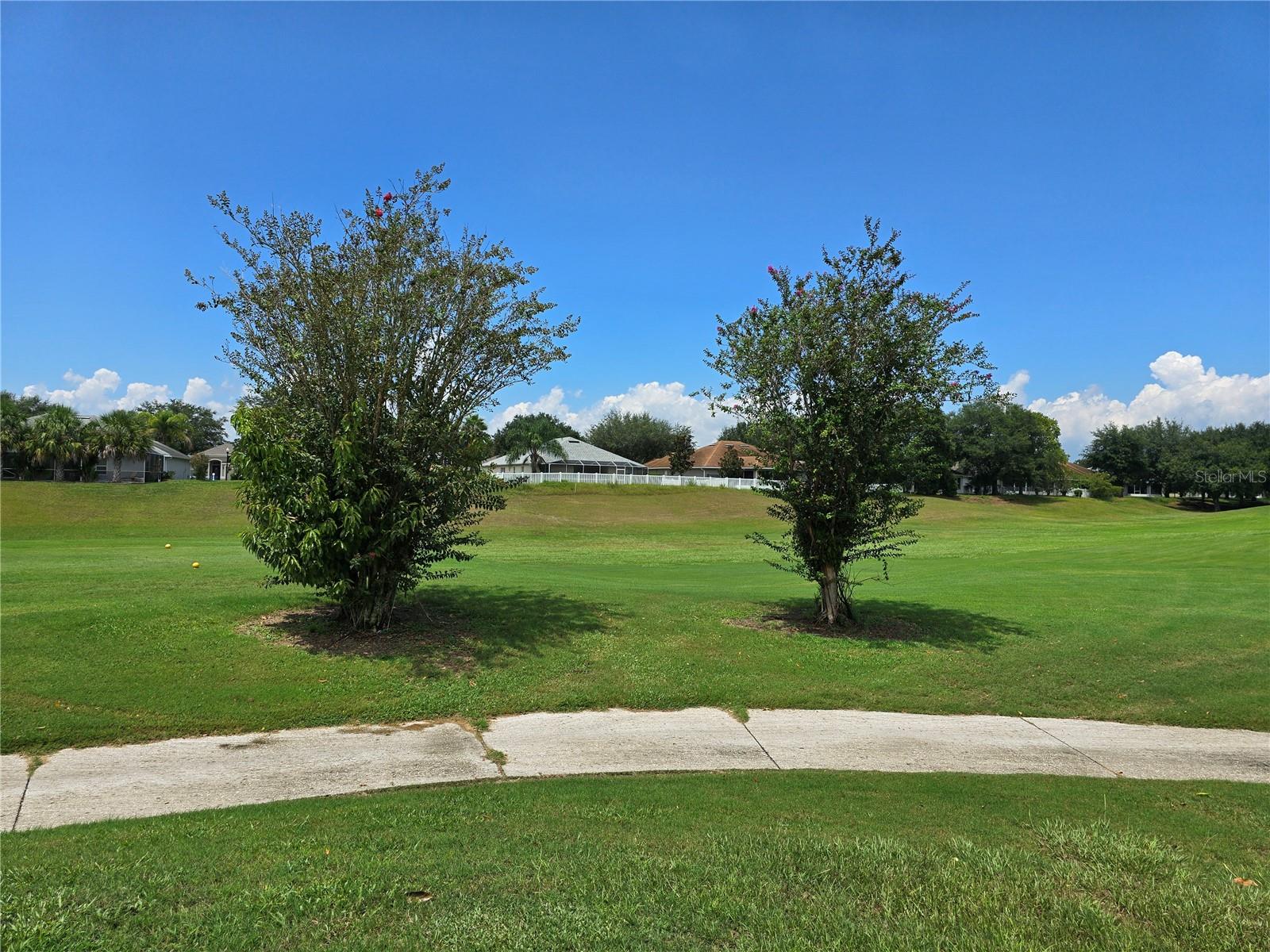 6949 CRESTED ORCHID DR, BROOKSVILLE, FL, 34602