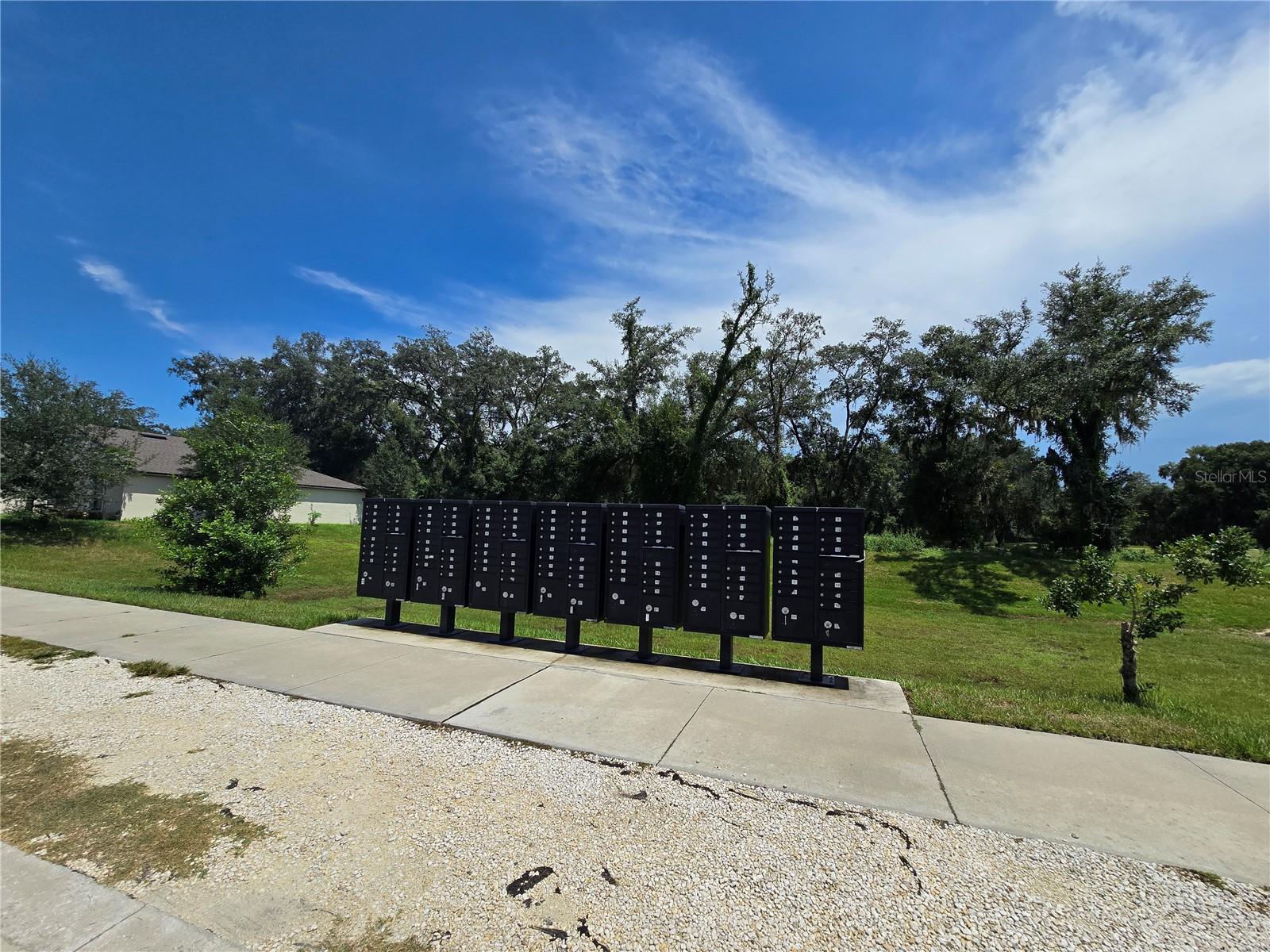 6949 CRESTED ORCHID DR, BROOKSVILLE, FL, 34602