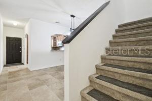 18171 PARADISE POINT DR, TAMPA, FL, 33647