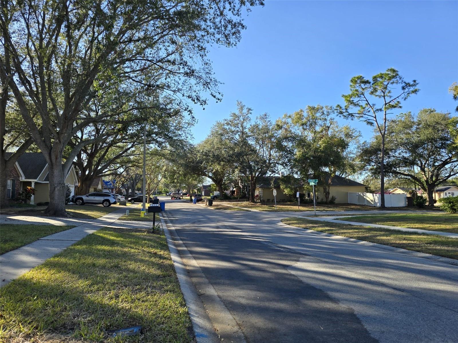 812 GREENBELT CIR, BRANDON, FL, 33510