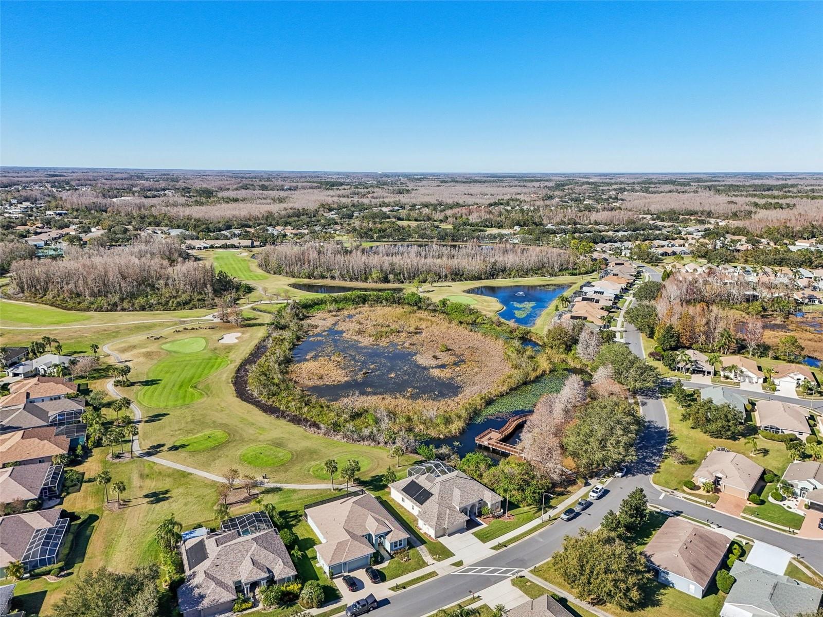 7302 MELOGOLD CIR, LAND O LAKES, FL, 34637