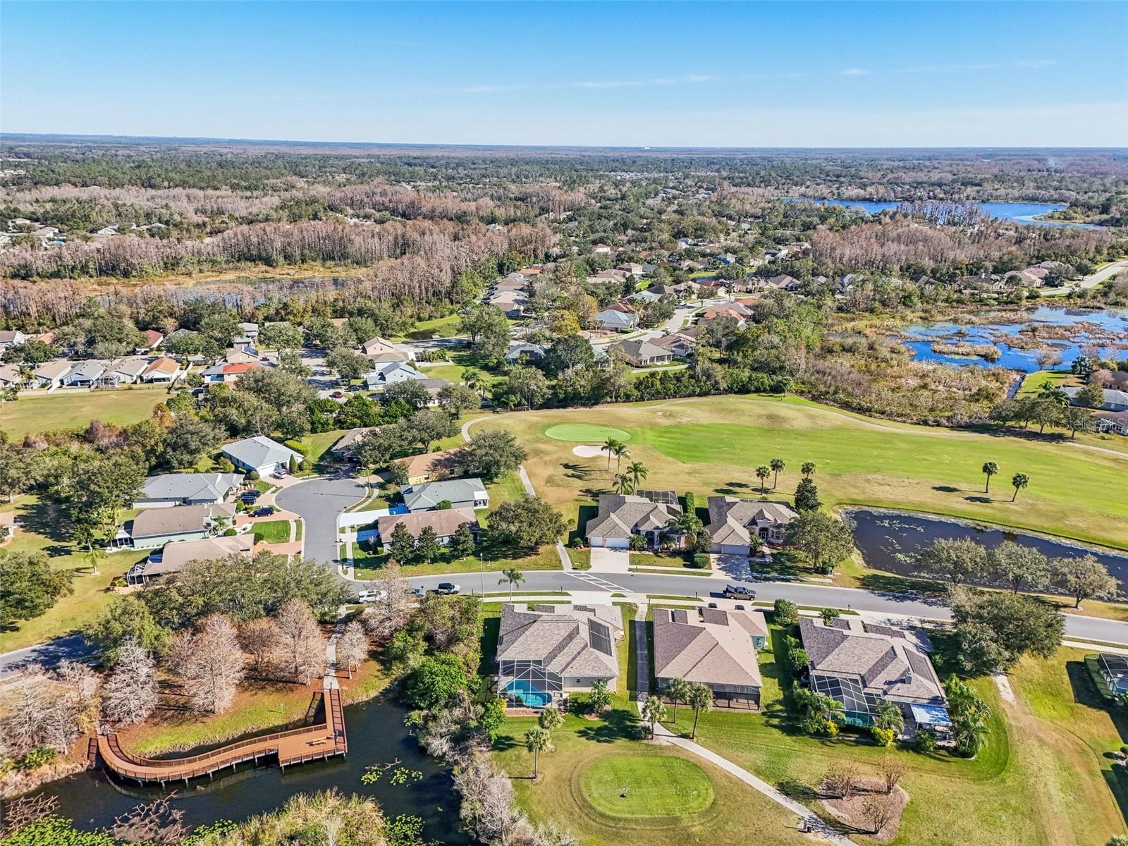 7302 MELOGOLD CIR, LAND O LAKES, FL, 34637