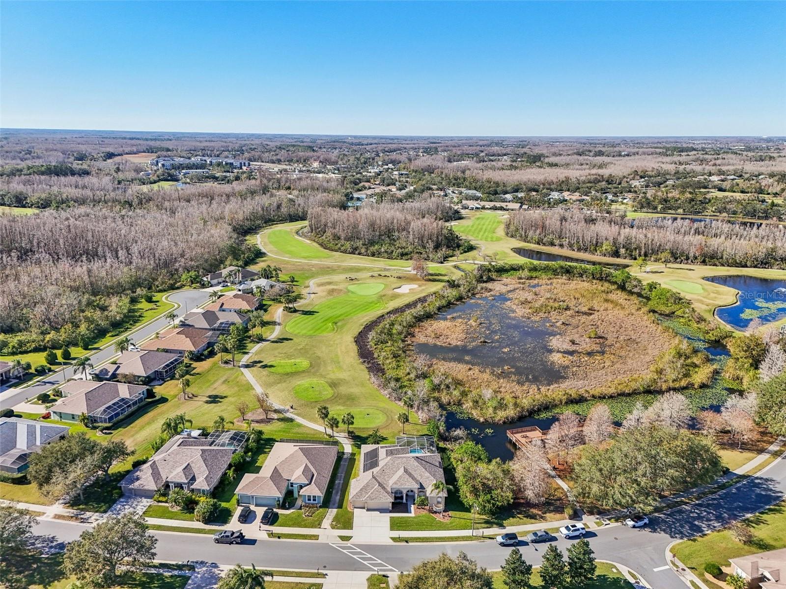 7302 MELOGOLD CIR, LAND O LAKES, FL, 34637