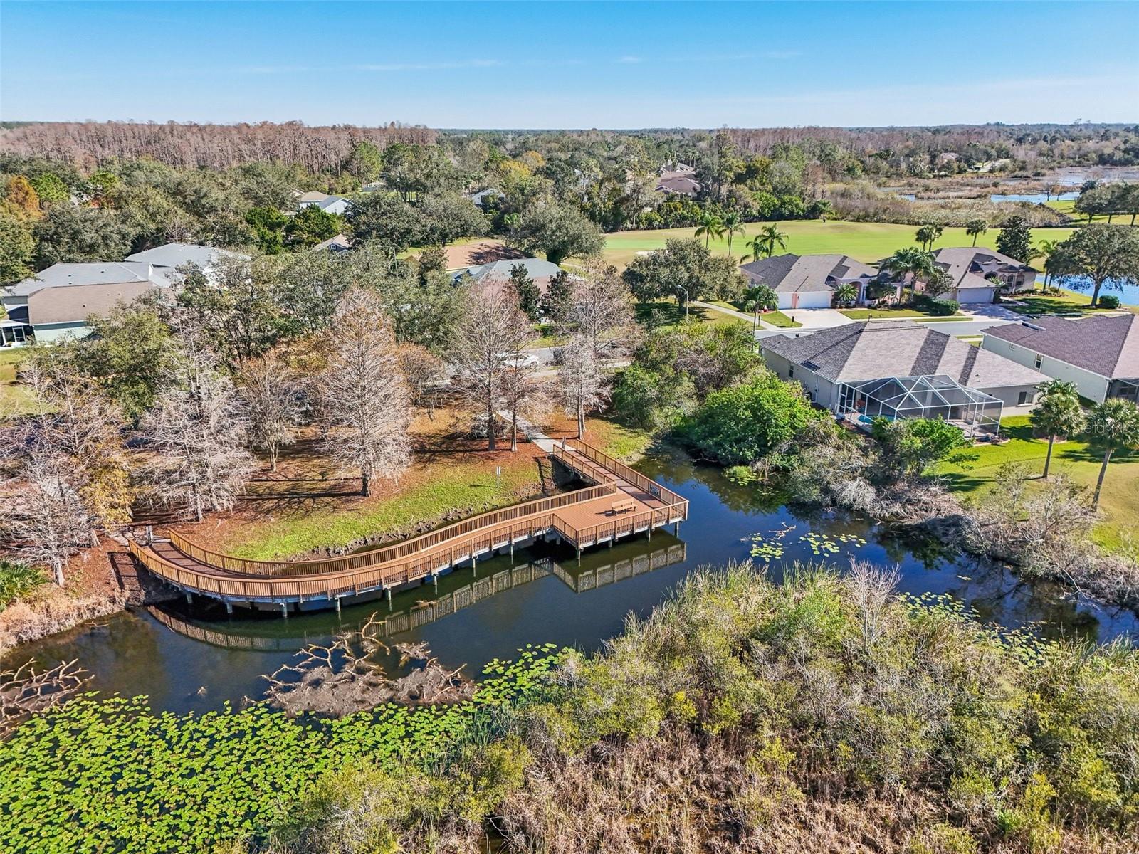 7302 MELOGOLD CIR, LAND O LAKES, FL, 34637
