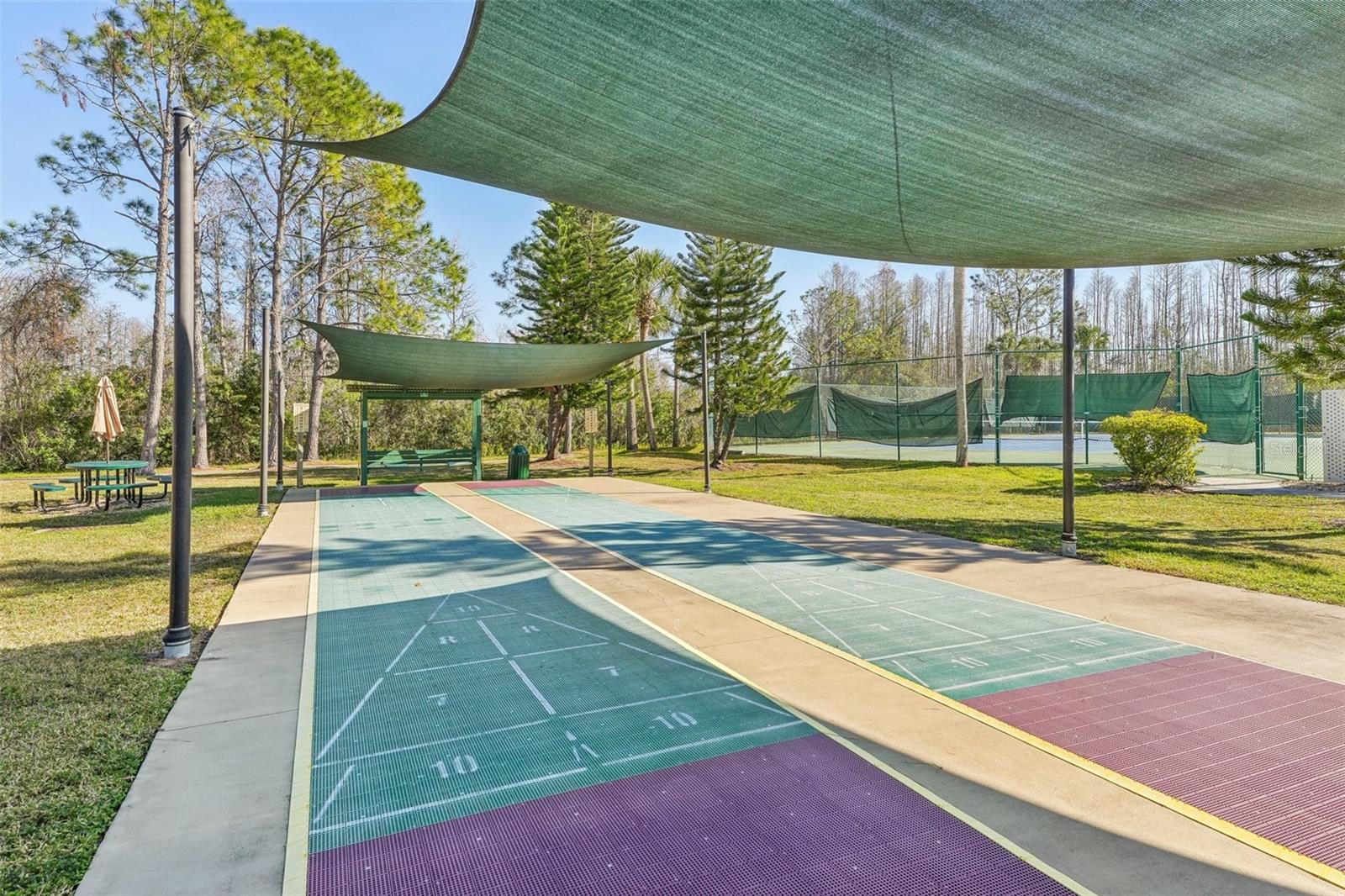 7302 MELOGOLD CIR, LAND O LAKES, FL, 34637