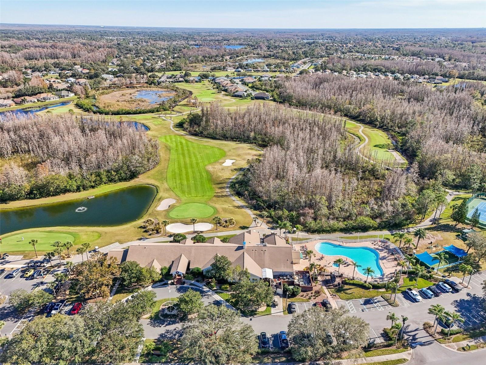 7302 MELOGOLD CIR, LAND O LAKES, FL, 34637