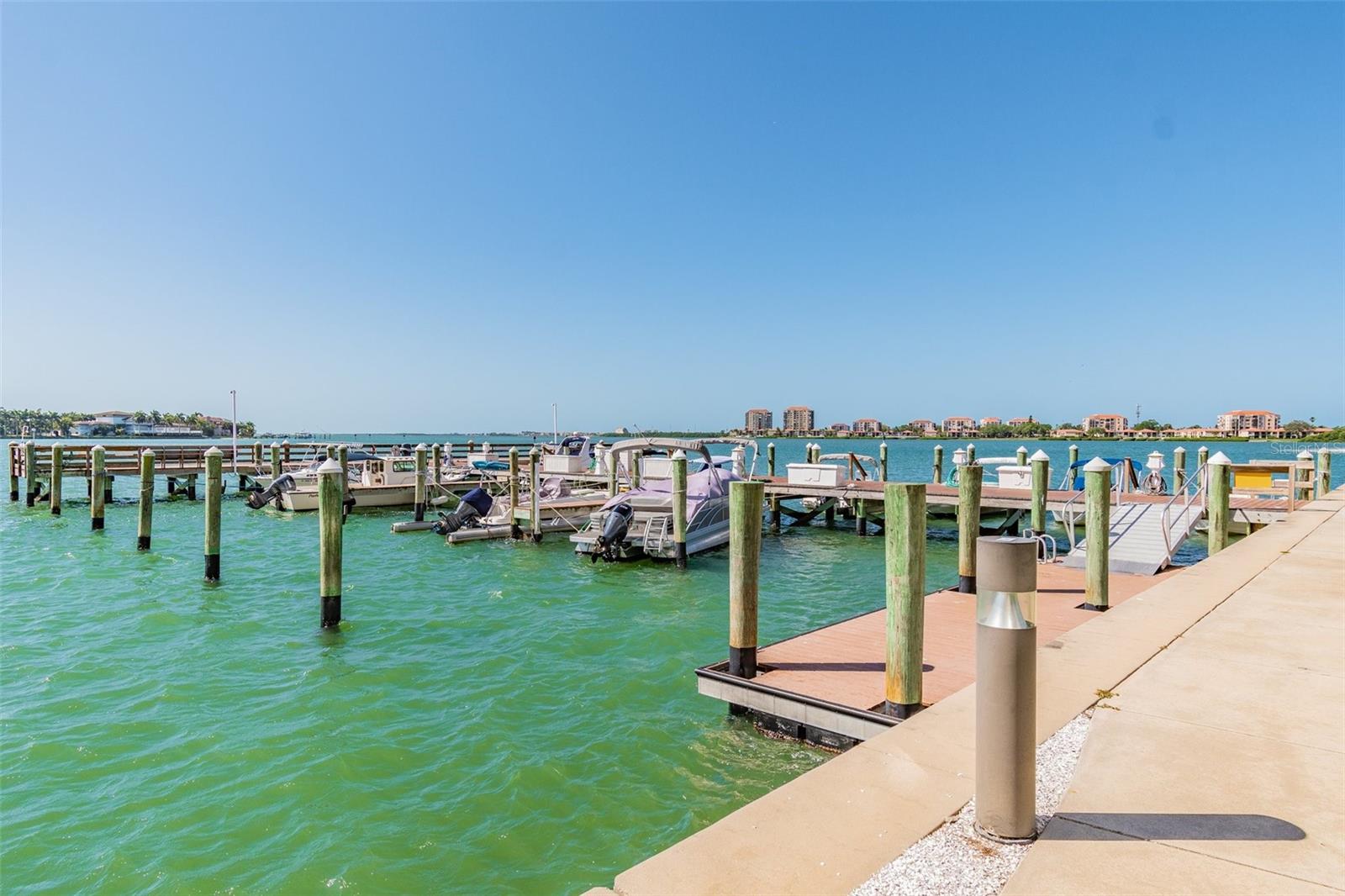 5200 BRITTANY DR S #1110, ST PETERSBURG, FL, 33715