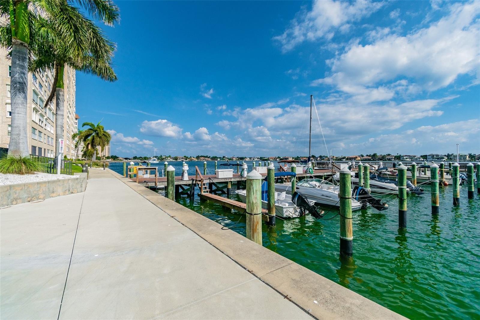 5200 BRITTANY DR S #1110, ST PETERSBURG, FL, 33715