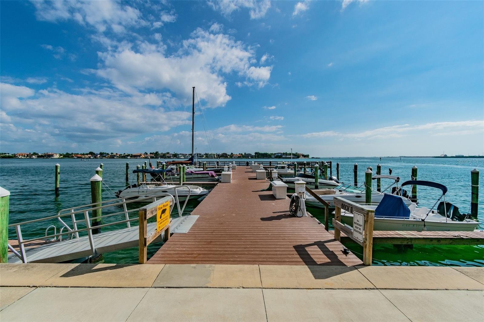 5200 BRITTANY DR S #1110, ST PETERSBURG, FL, 33715