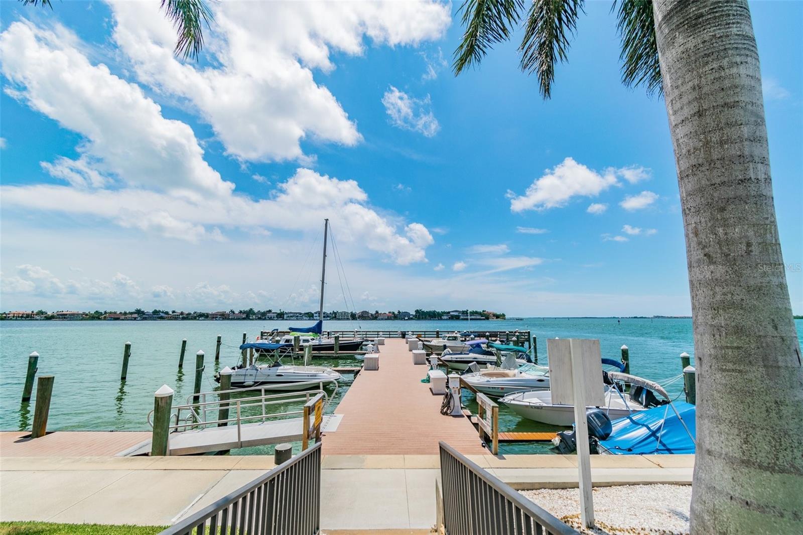 5200 BRITTANY DR S #1110, ST PETERSBURG, FL, 33715