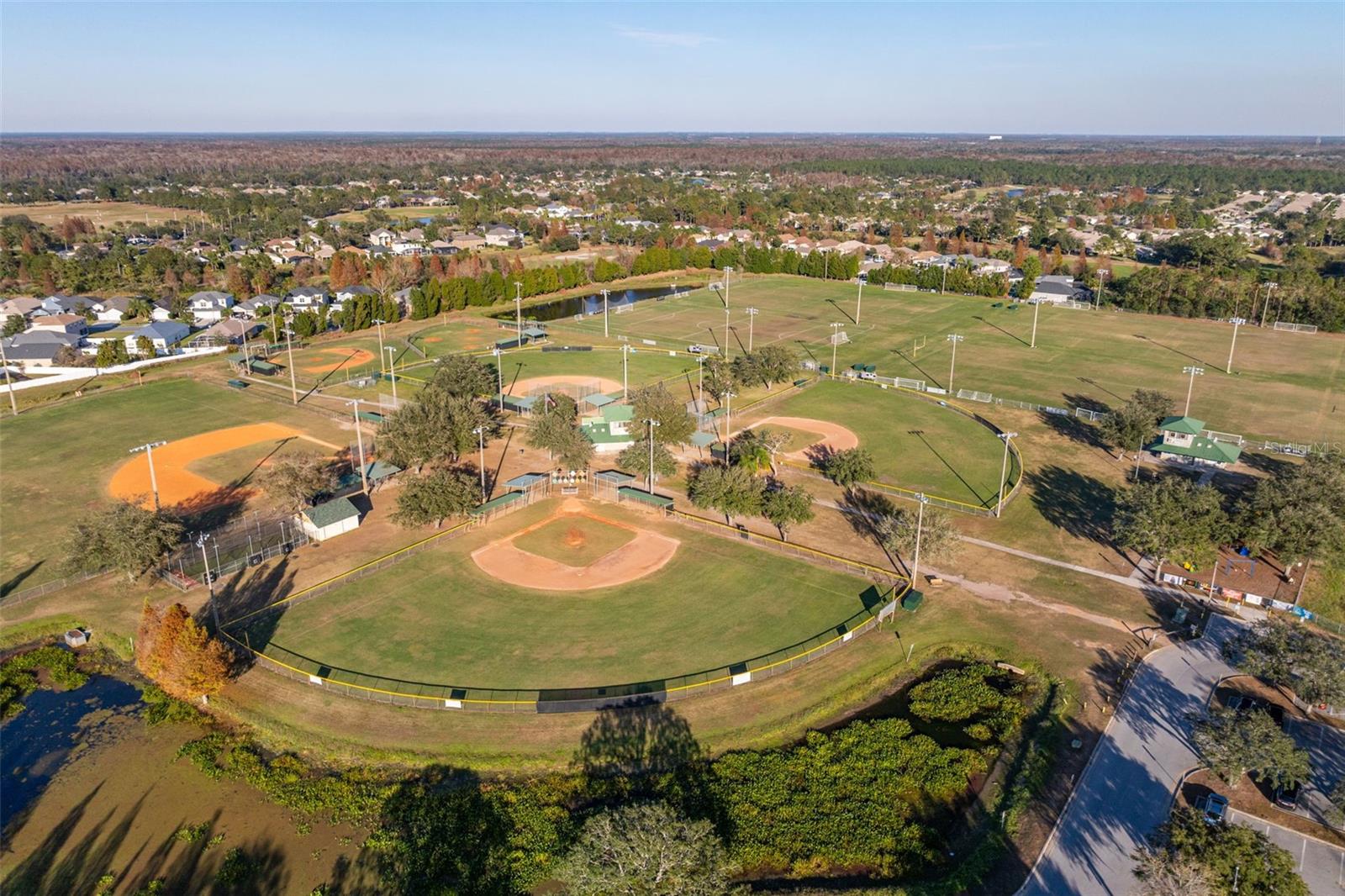 3115 BOWFIN DR, LAND O LAKES, FL, 34639