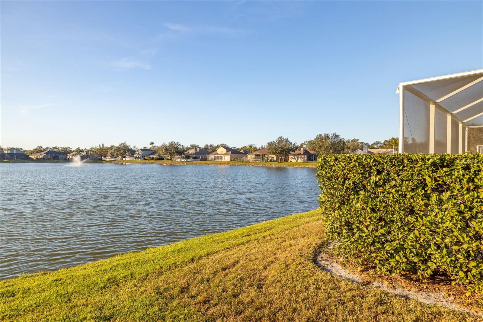 3115 BOWFIN DR, LAND O LAKES, FL, 34639