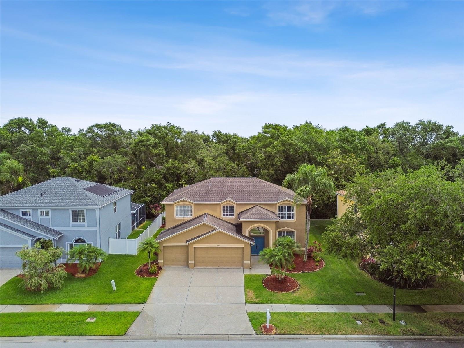 15815 MUIRFIELD DR, ODESSA, FL, 33556