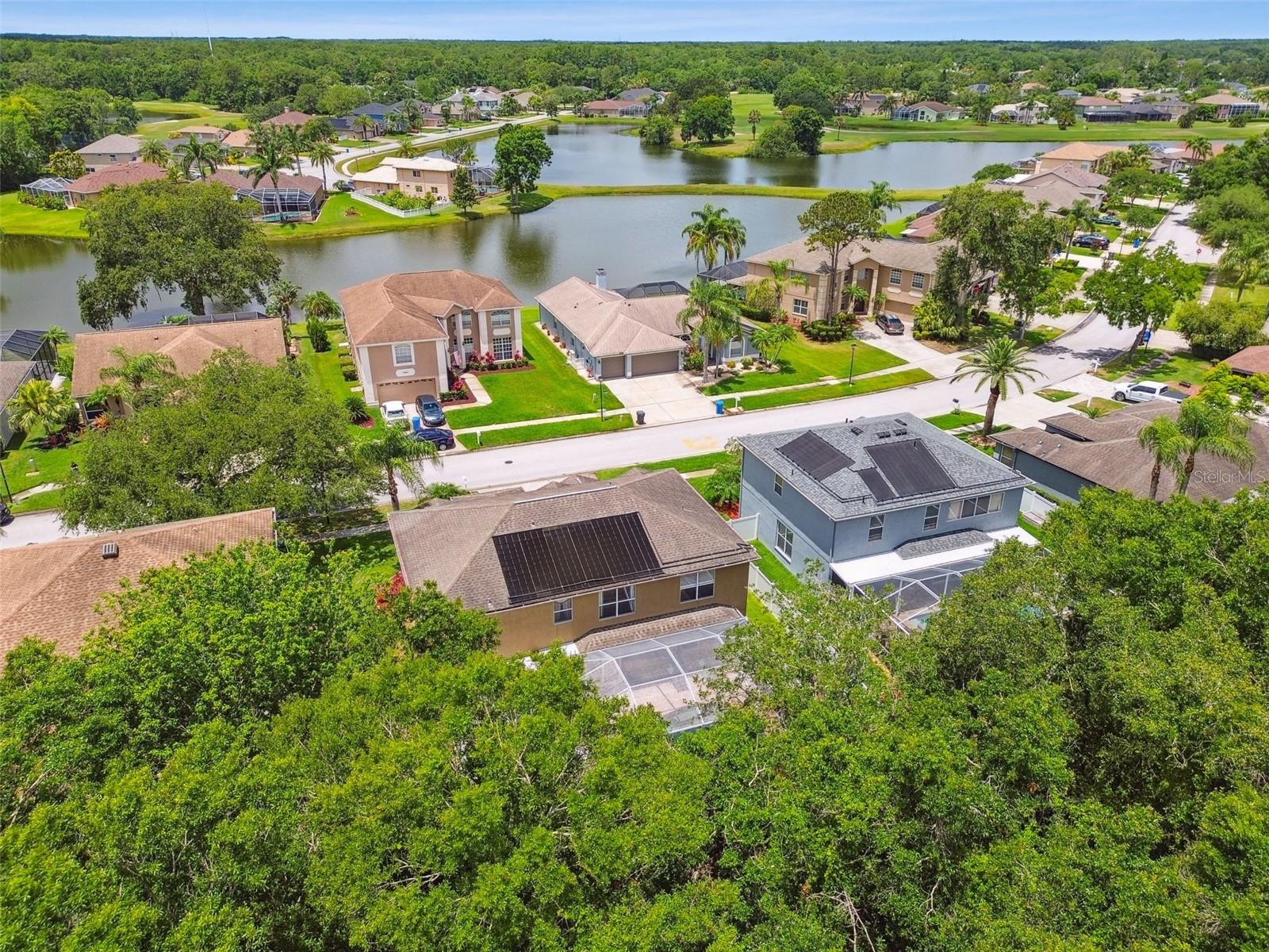 15815 MUIRFIELD DR, ODESSA, FL, 33556