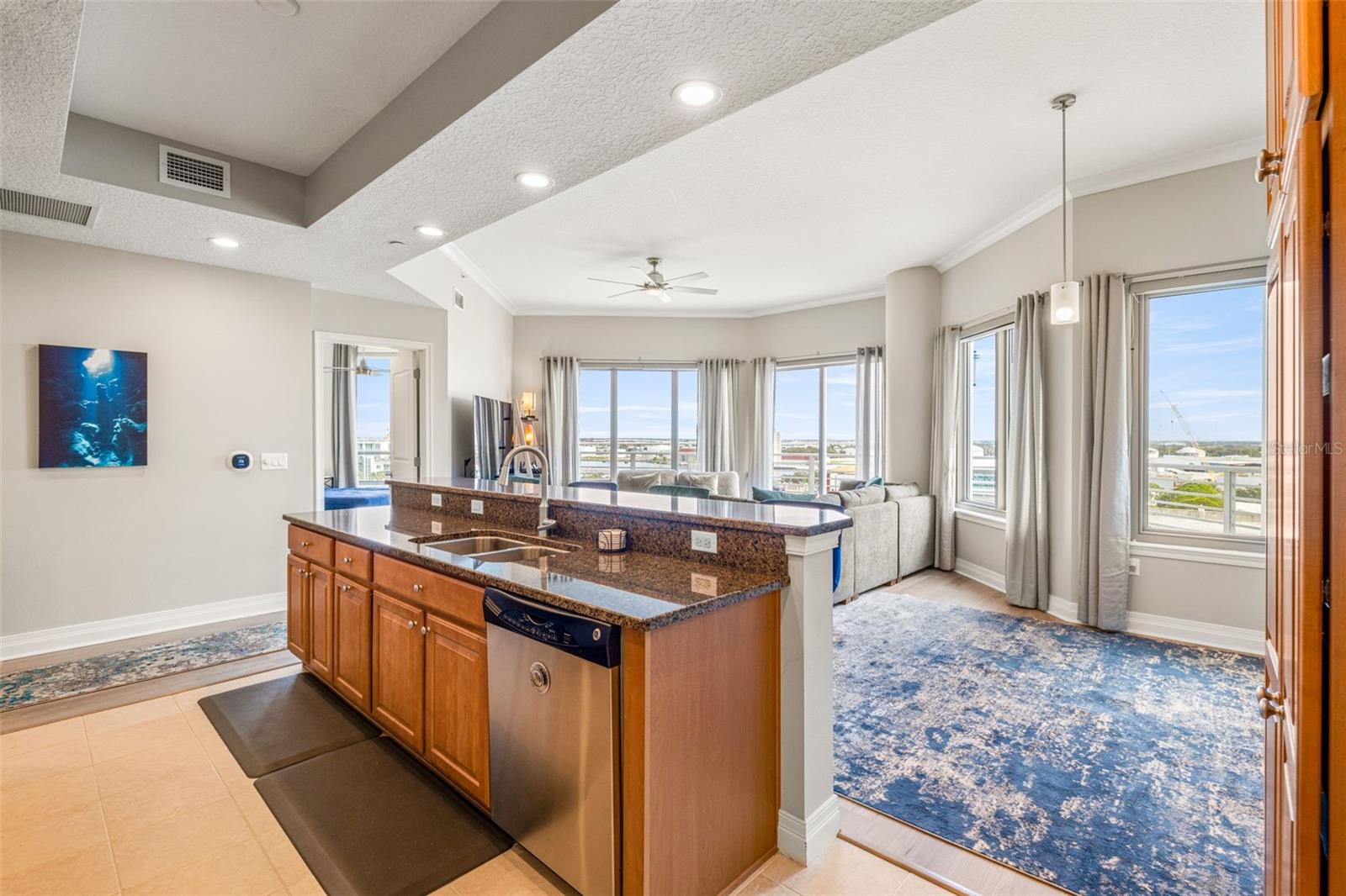1209 E CUMBERLAND AVE #906, TAMPA, FL, 33602