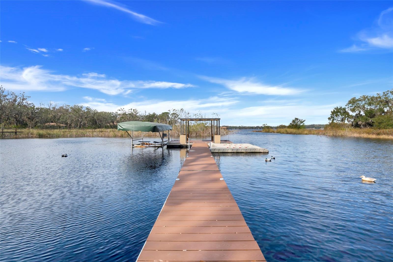 18033 ROSE ST, GROVELAND, FL, 34736