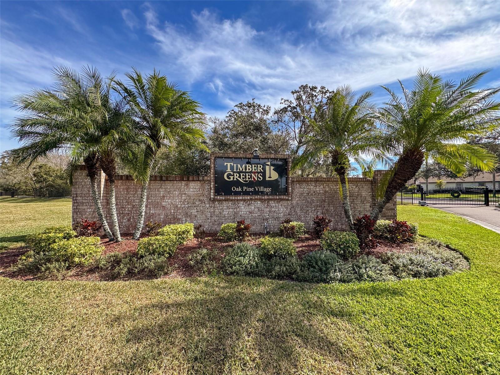 9519 GREEN NEEDLE DR, NEW PORT RICHEY, FL, 34655