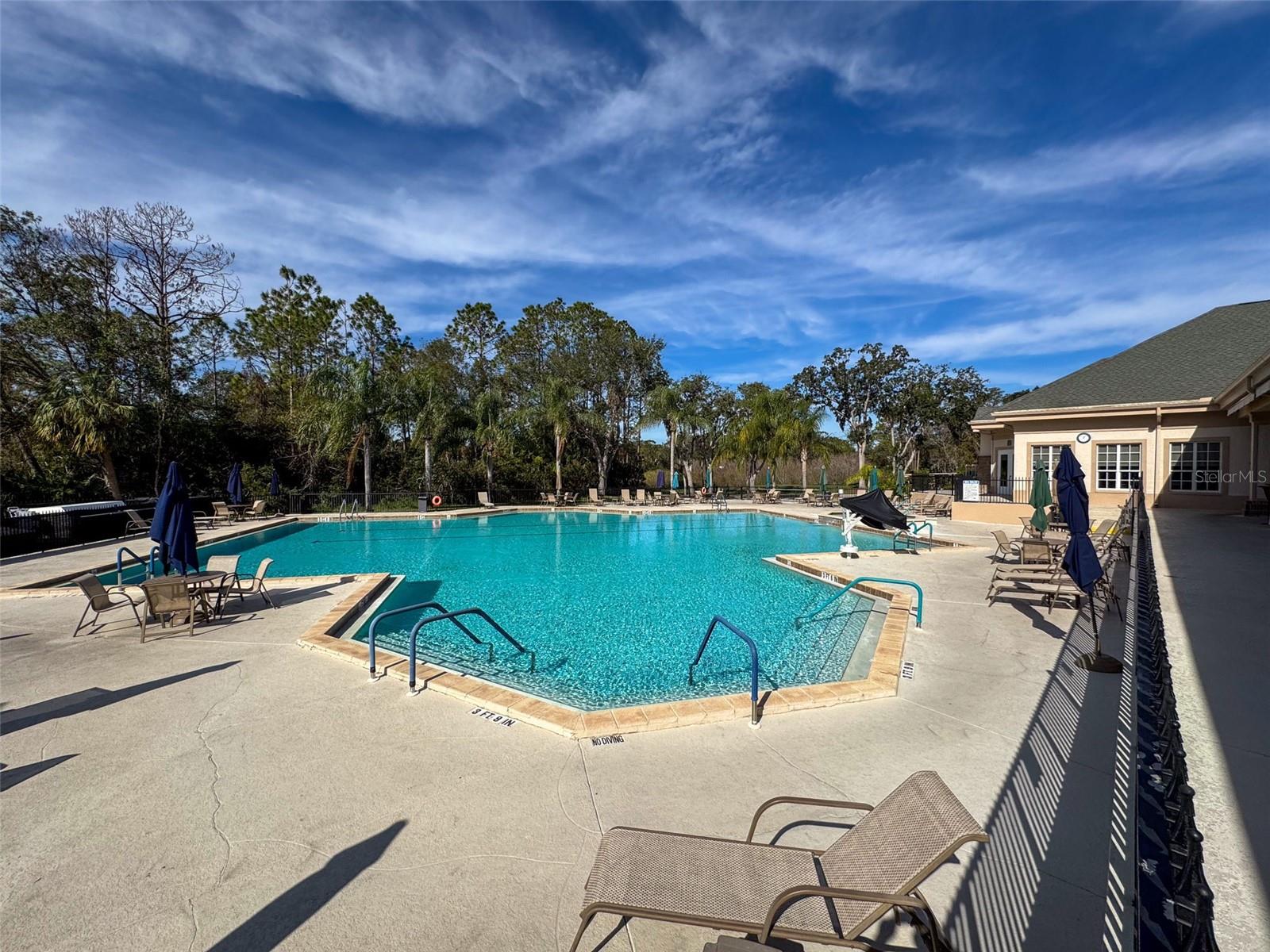 9519 GREEN NEEDLE DR, NEW PORT RICHEY, FL, 34655