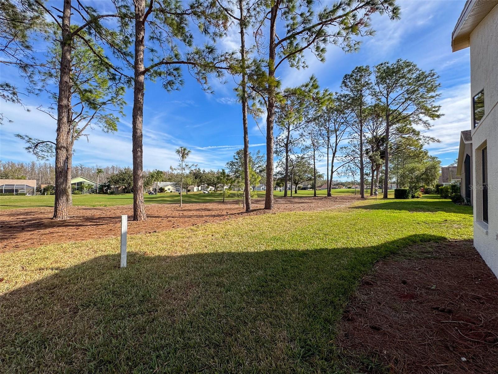 9519 GREEN NEEDLE DR, NEW PORT RICHEY, FL, 34655