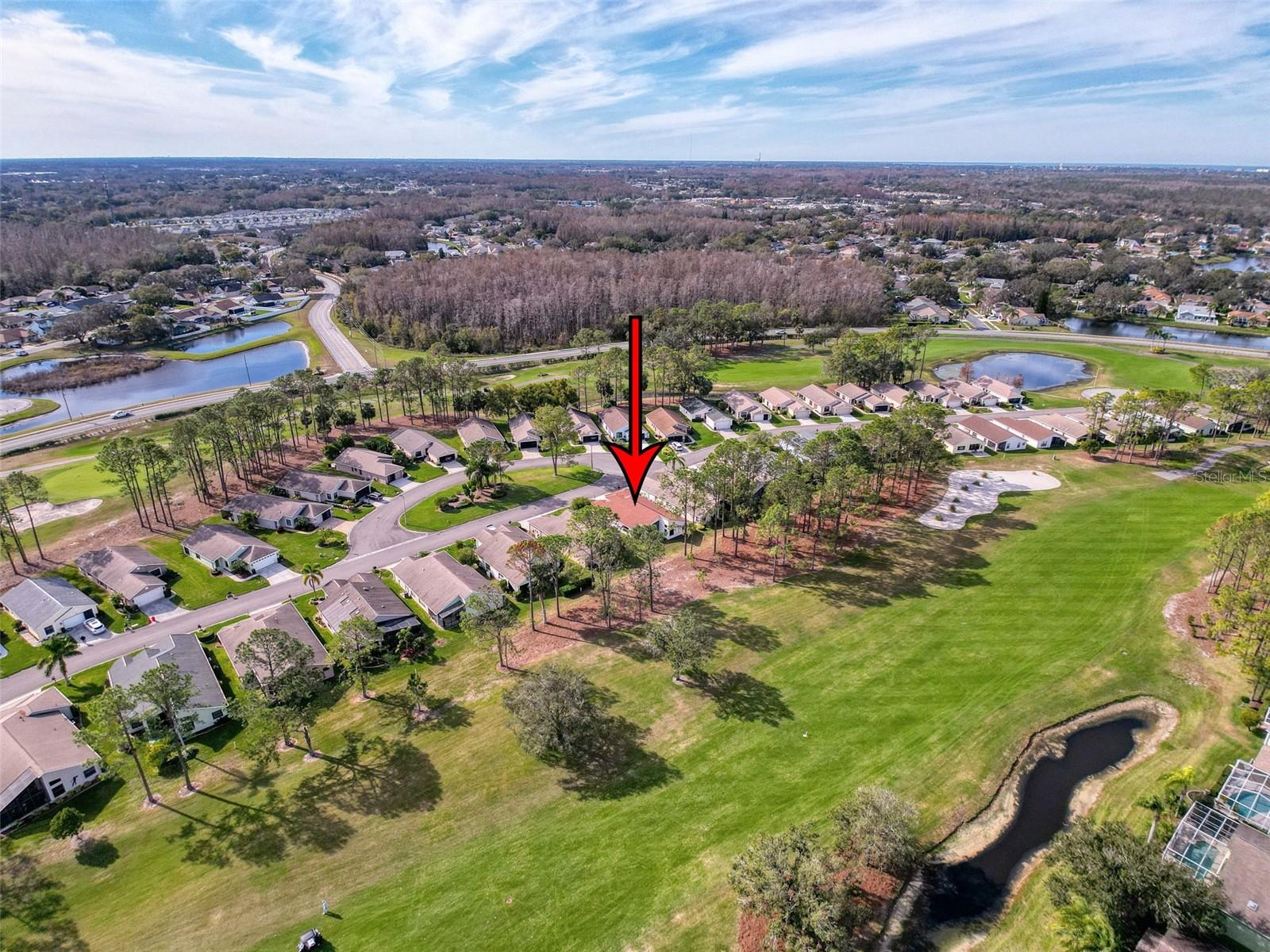 9519 GREEN NEEDLE DR, NEW PORT RICHEY, FL, 34655