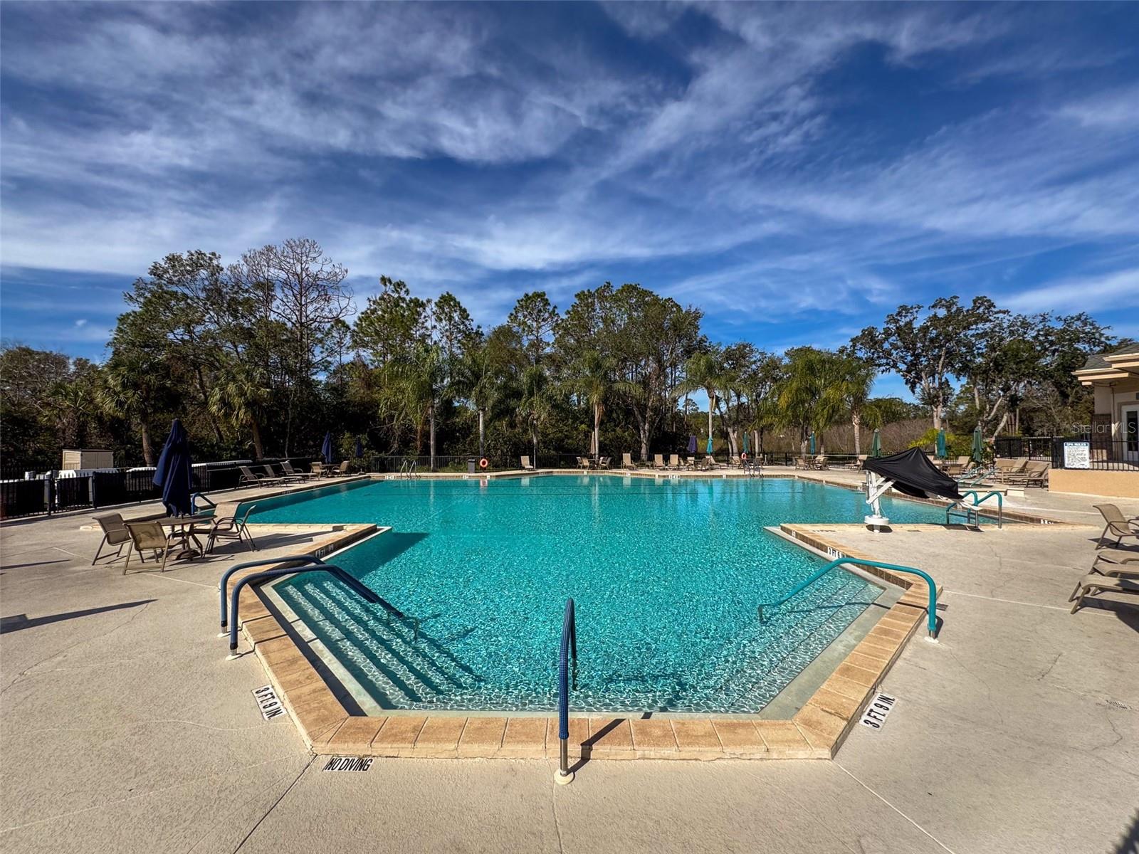 9519 GREEN NEEDLE DR, NEW PORT RICHEY, FL, 34655