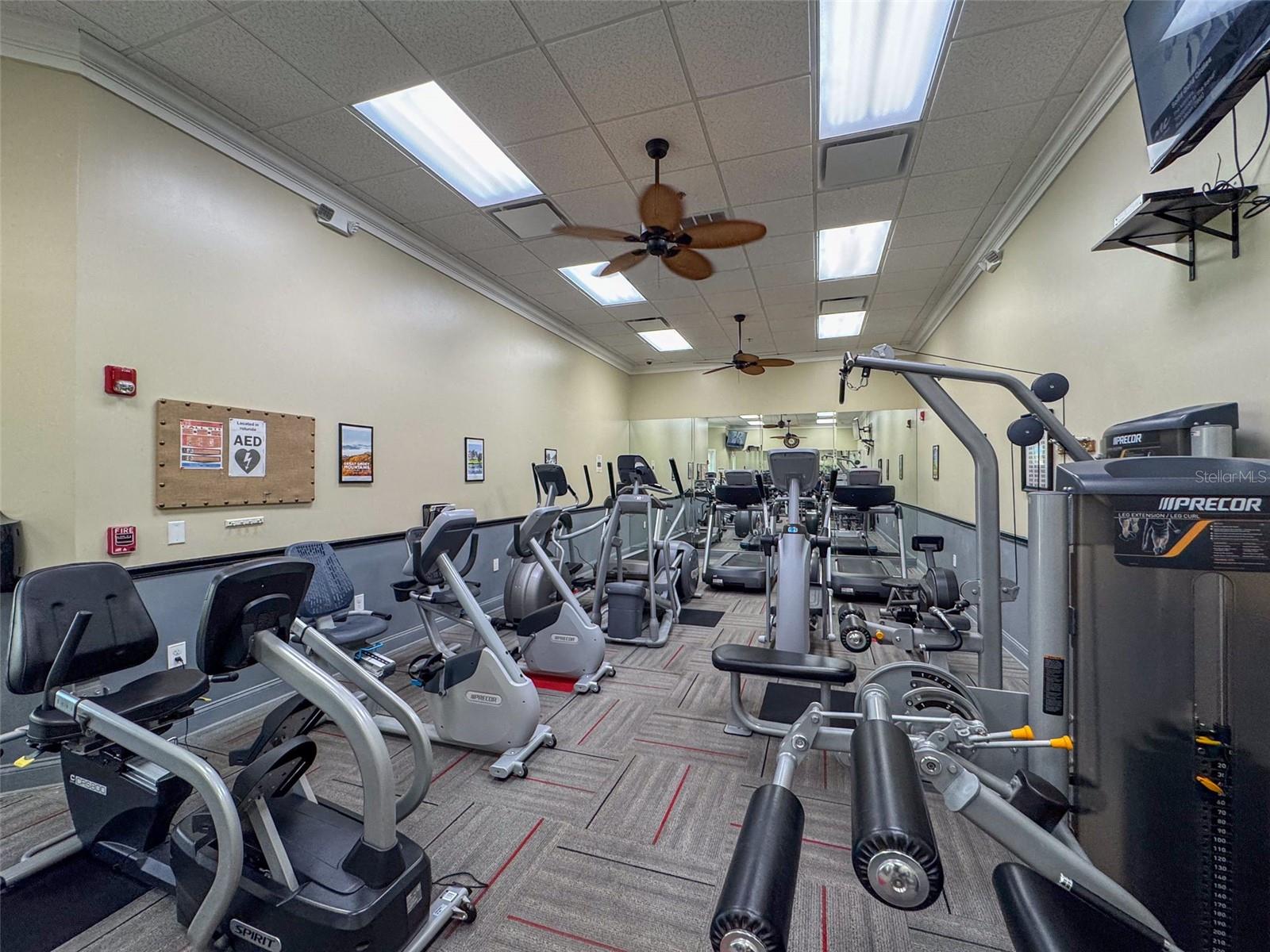 9519 GREEN NEEDLE DR, NEW PORT RICHEY, FL, 34655