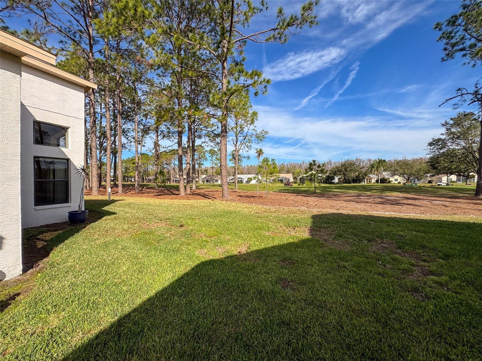 9519 GREEN NEEDLE DR, NEW PORT RICHEY, FL, 34655