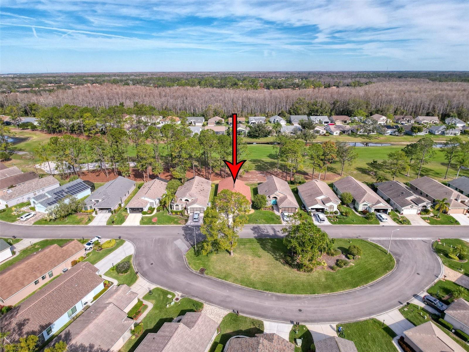 9519 GREEN NEEDLE DR, NEW PORT RICHEY, FL, 34655