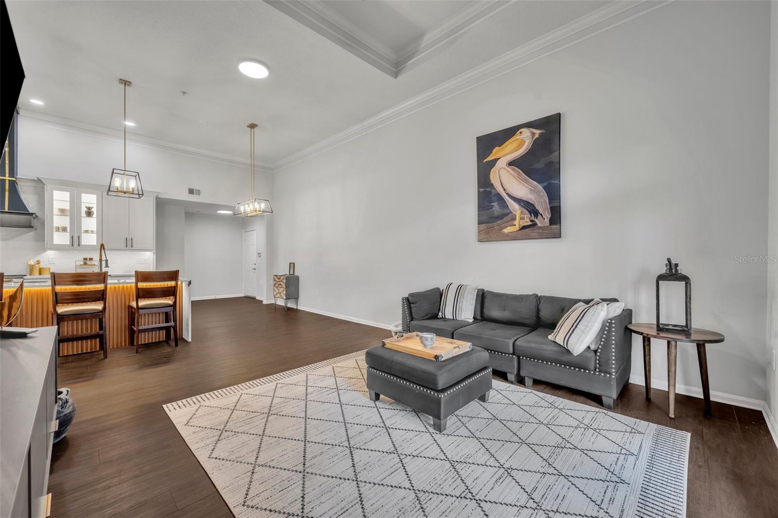 239 LONGVIEW AVE #216, CELEBRATION, FL, 34747