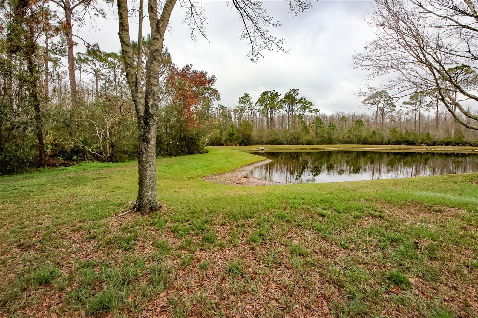 12229 LUFTBURROW LN, HUDSON, FL, 34669