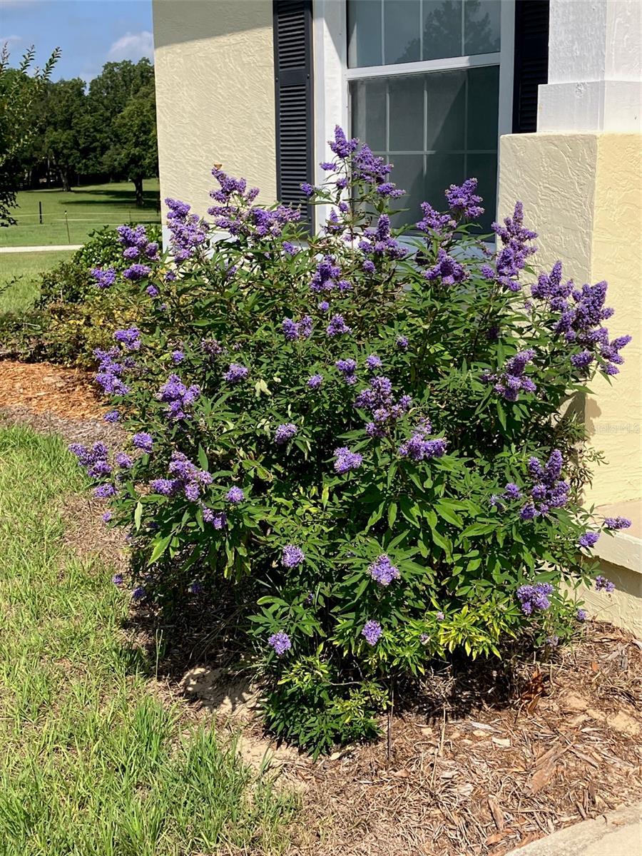 21431 NE 25TH ST, WILLISTON, FL, 32696