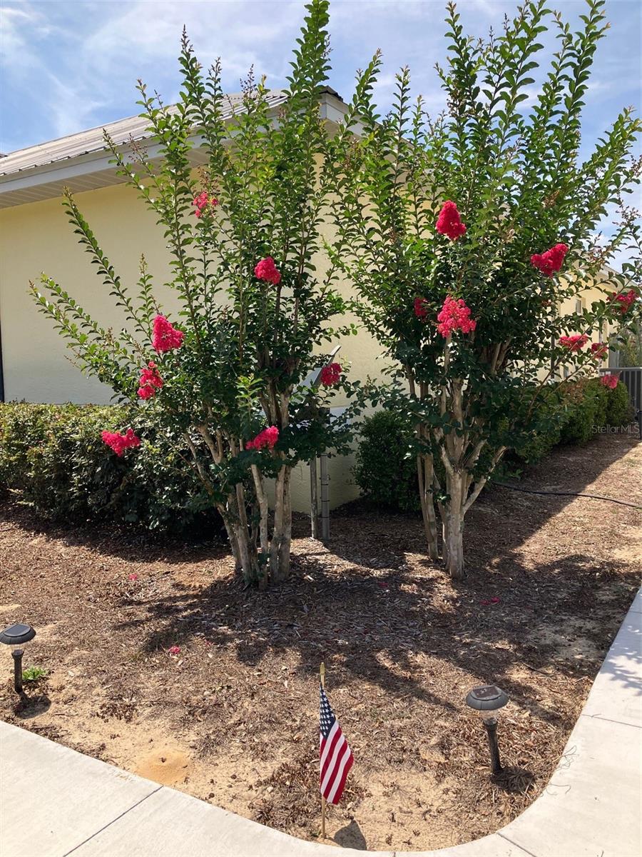 21431 NE 25TH ST, WILLISTON, FL, 32696