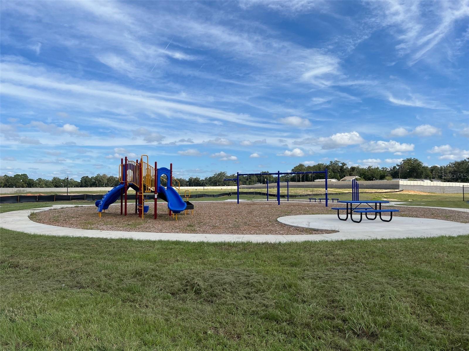 10338 SE 161ST ST, SUMMERFIELD, FL, 34491