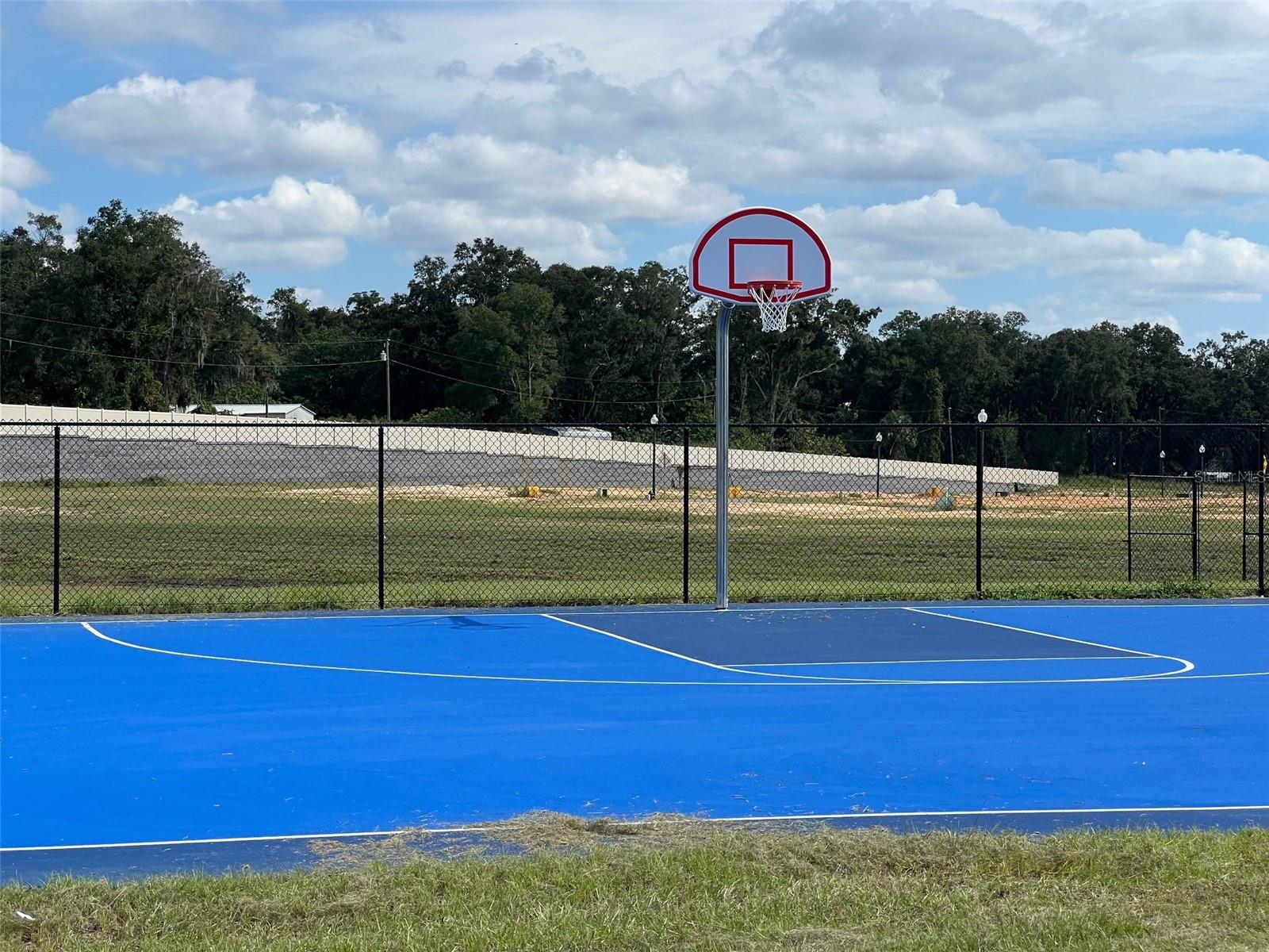 10338 SE 161ST ST, SUMMERFIELD, FL, 34491