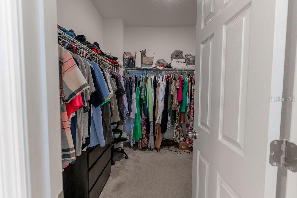 10415 AUSTRINA OAK LOOP, WINTER GARDEN, FL, 34787