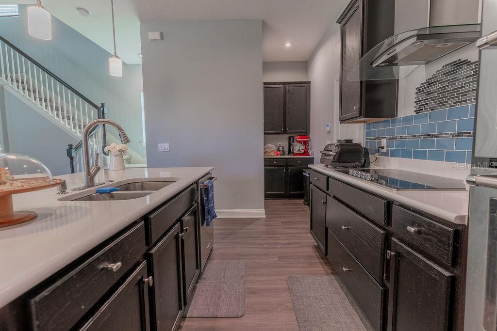10415 AUSTRINA OAK LOOP, WINTER GARDEN, FL, 34787