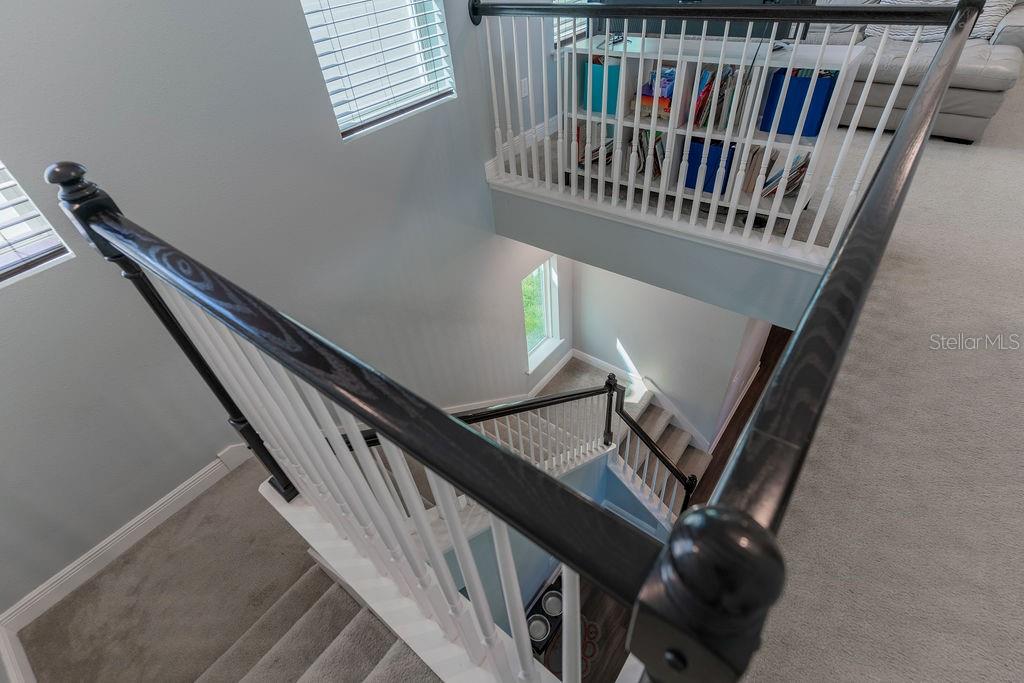 10415 AUSTRINA OAK LOOP, WINTER GARDEN, FL, 34787