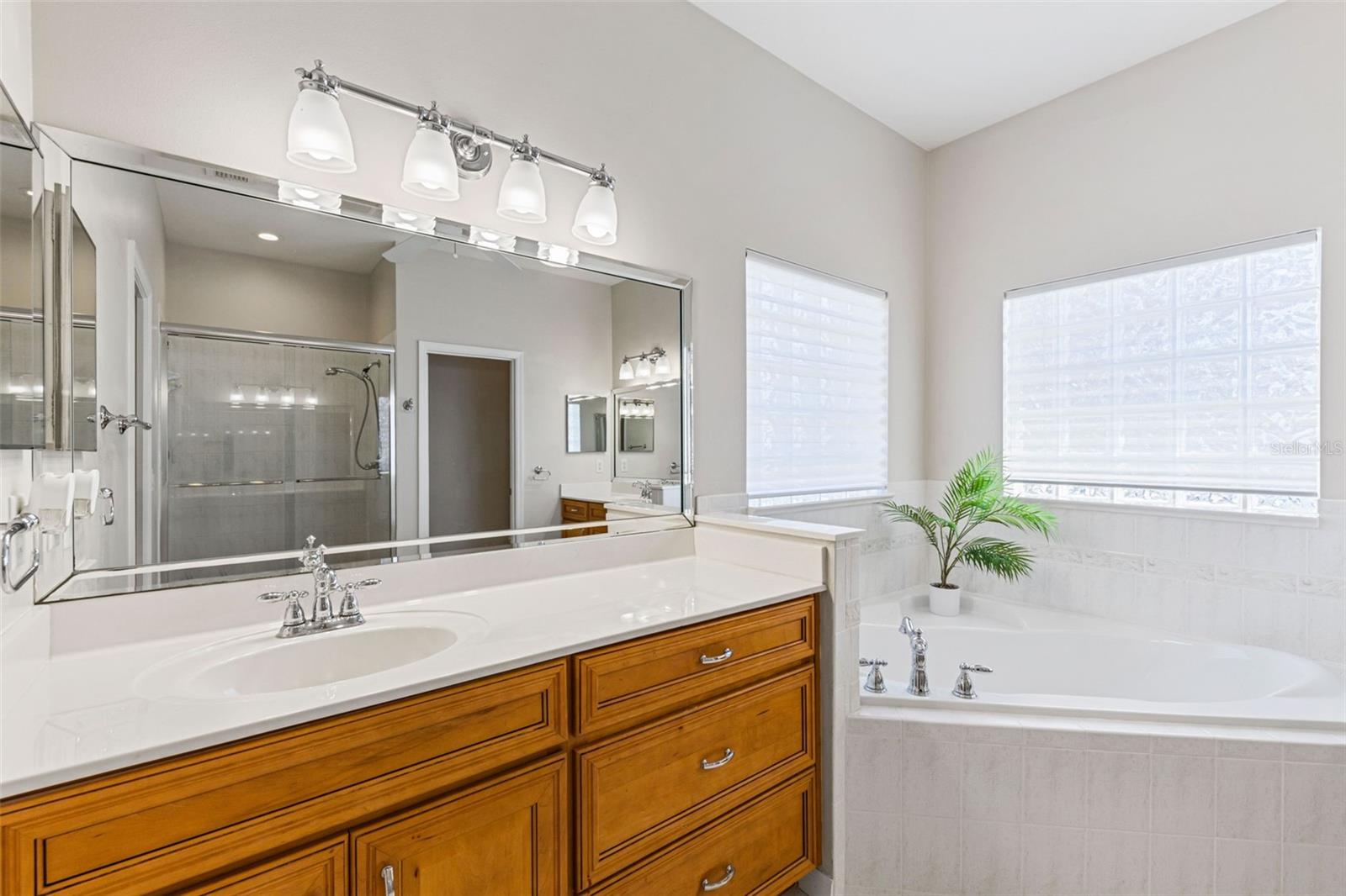 17350 SE 116TH COURT RD, SUMMERFIELD, FL, 34491