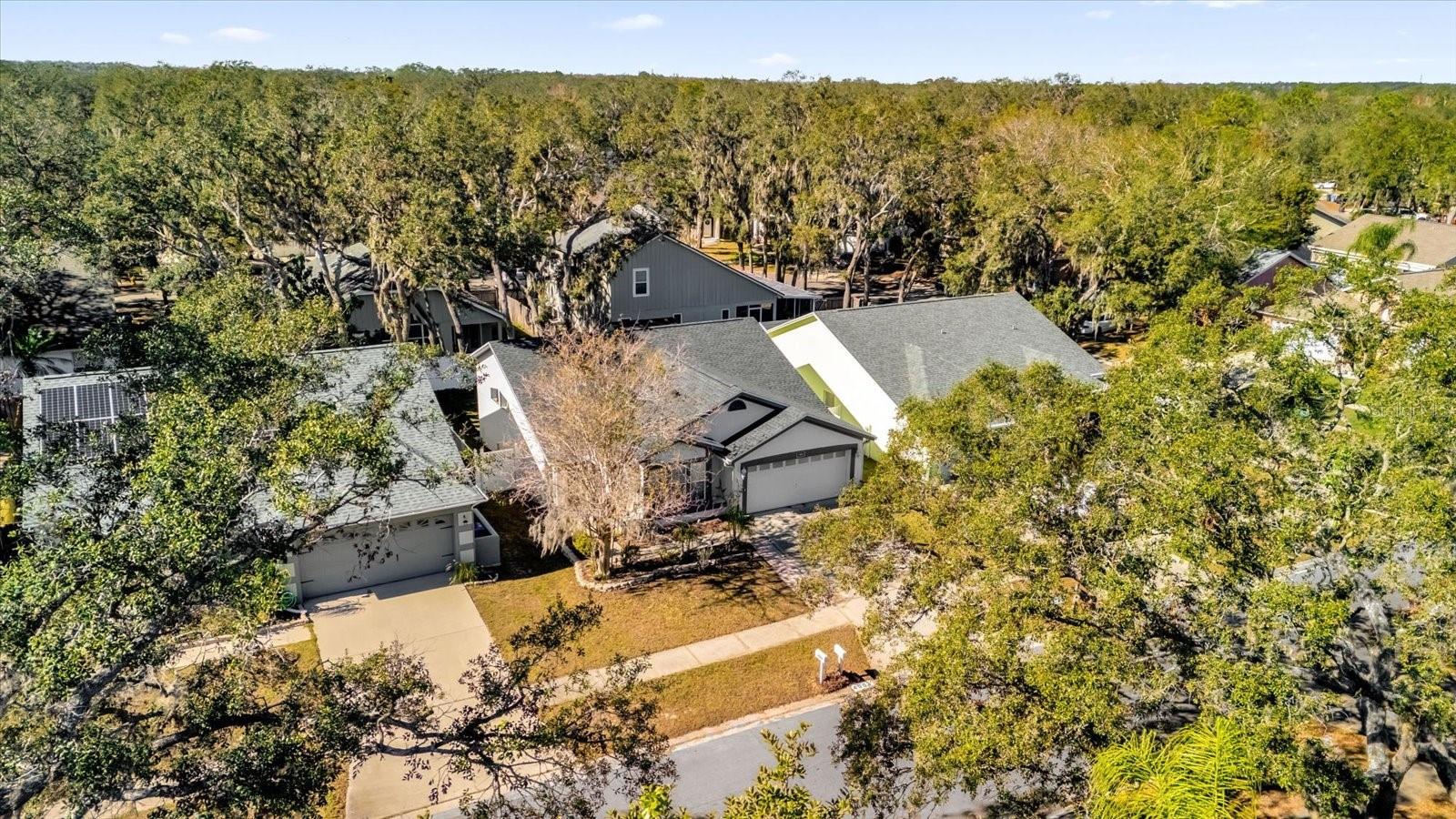 4003 FONTANA PL, VALRICO, FL, 33596