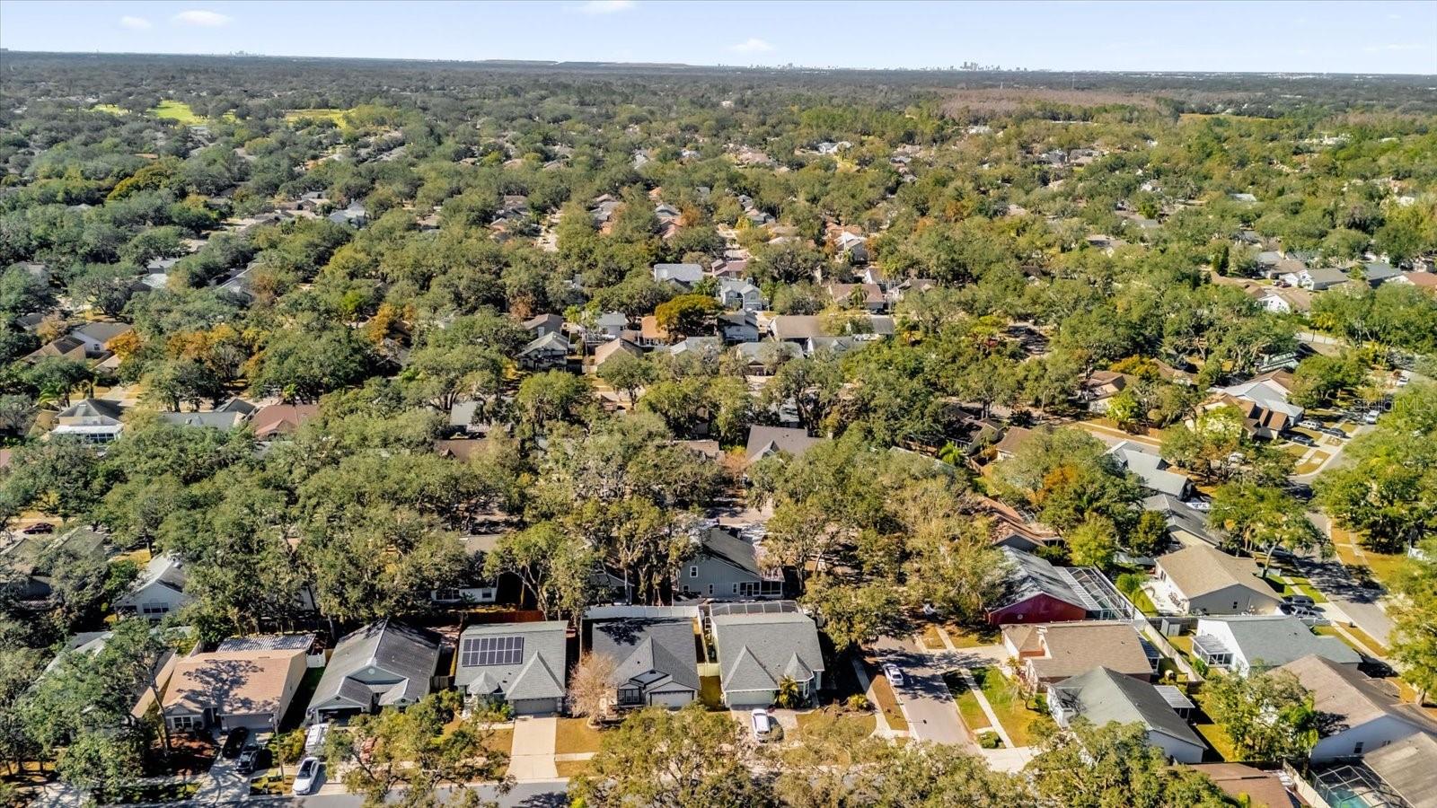 4003 FONTANA PL, VALRICO, FL, 33596