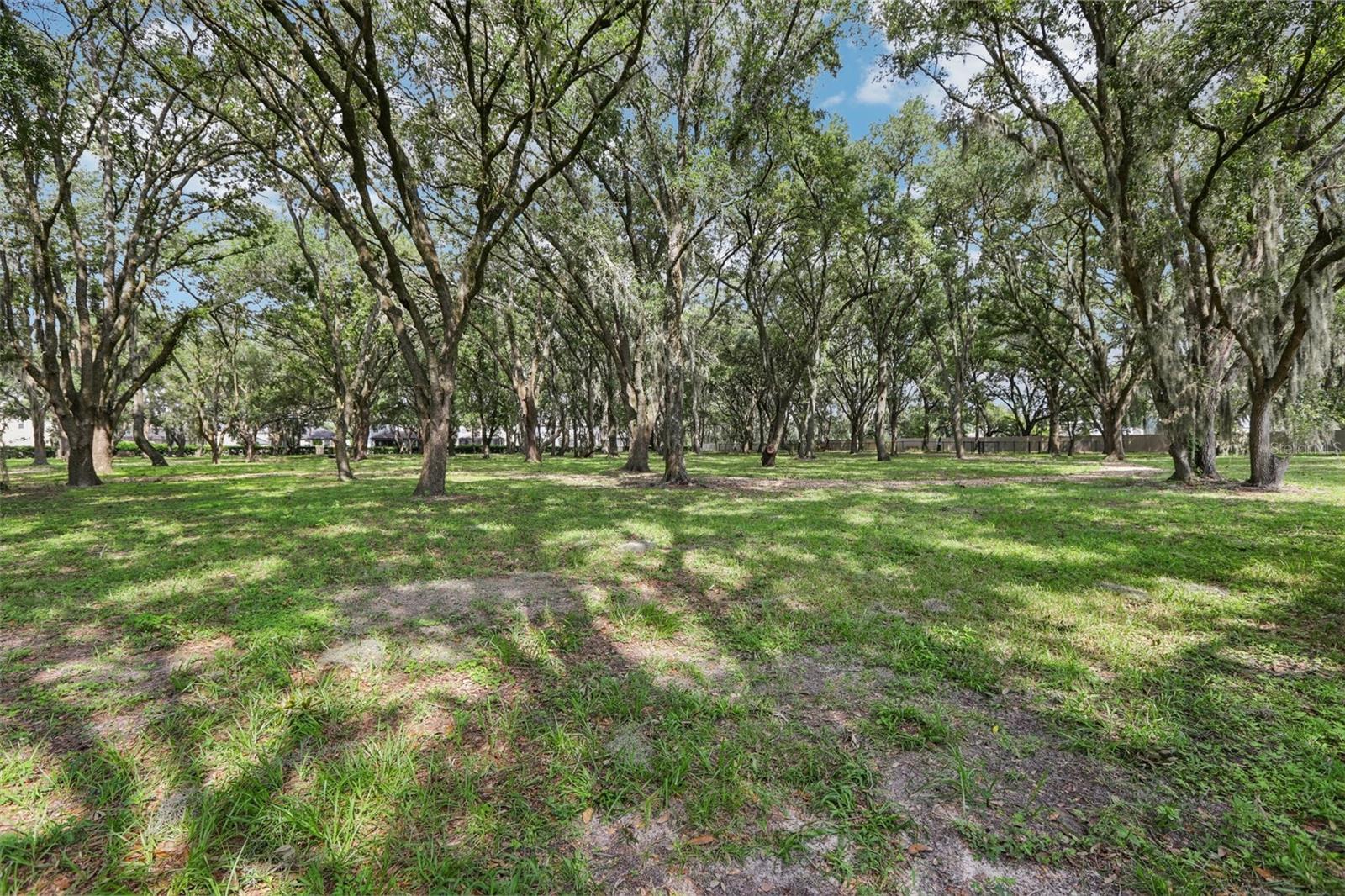 31014 KELMIN TER, WESLEY CHAPEL, FL, 33543